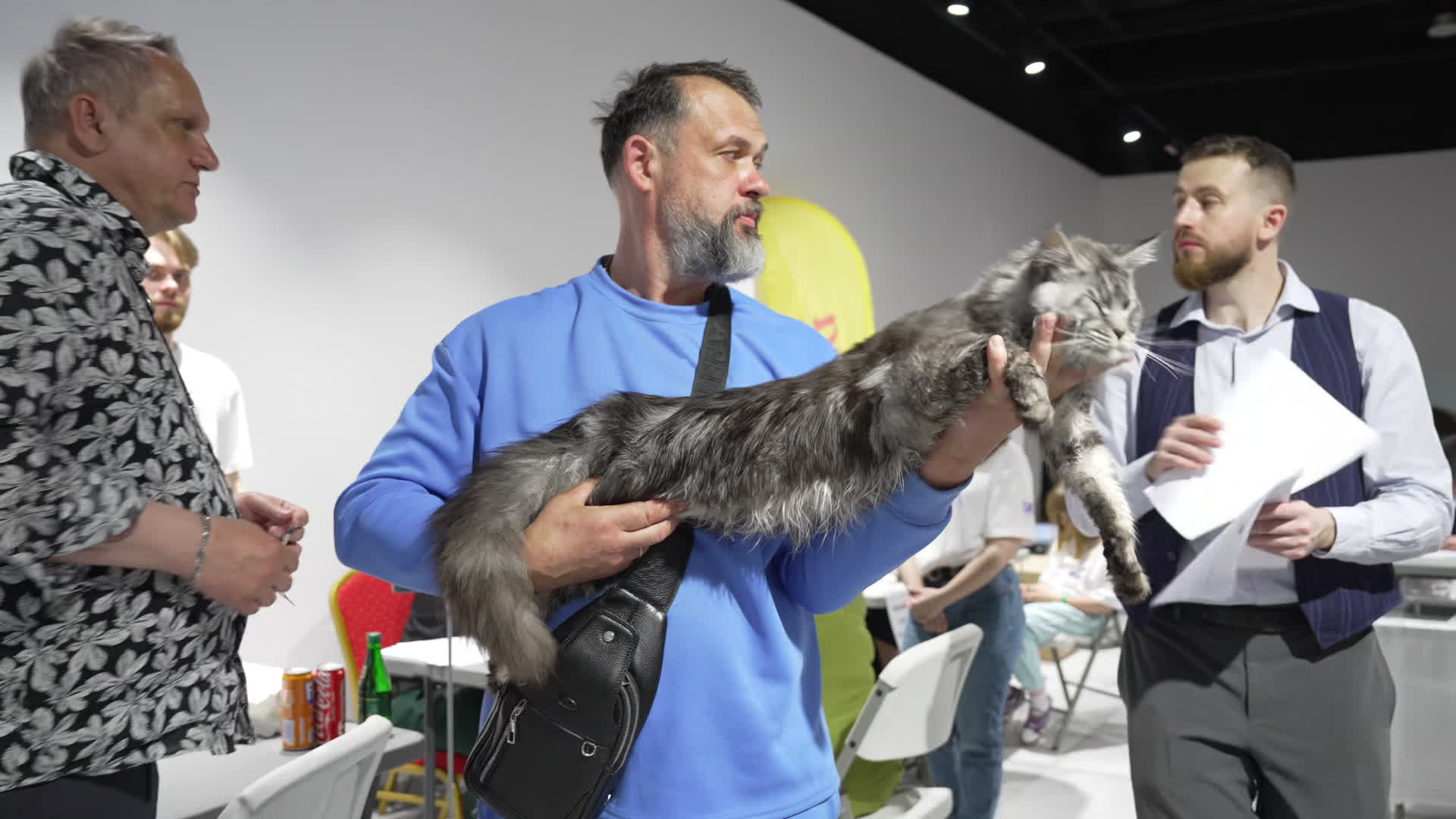 International Cat Show in Warsaw