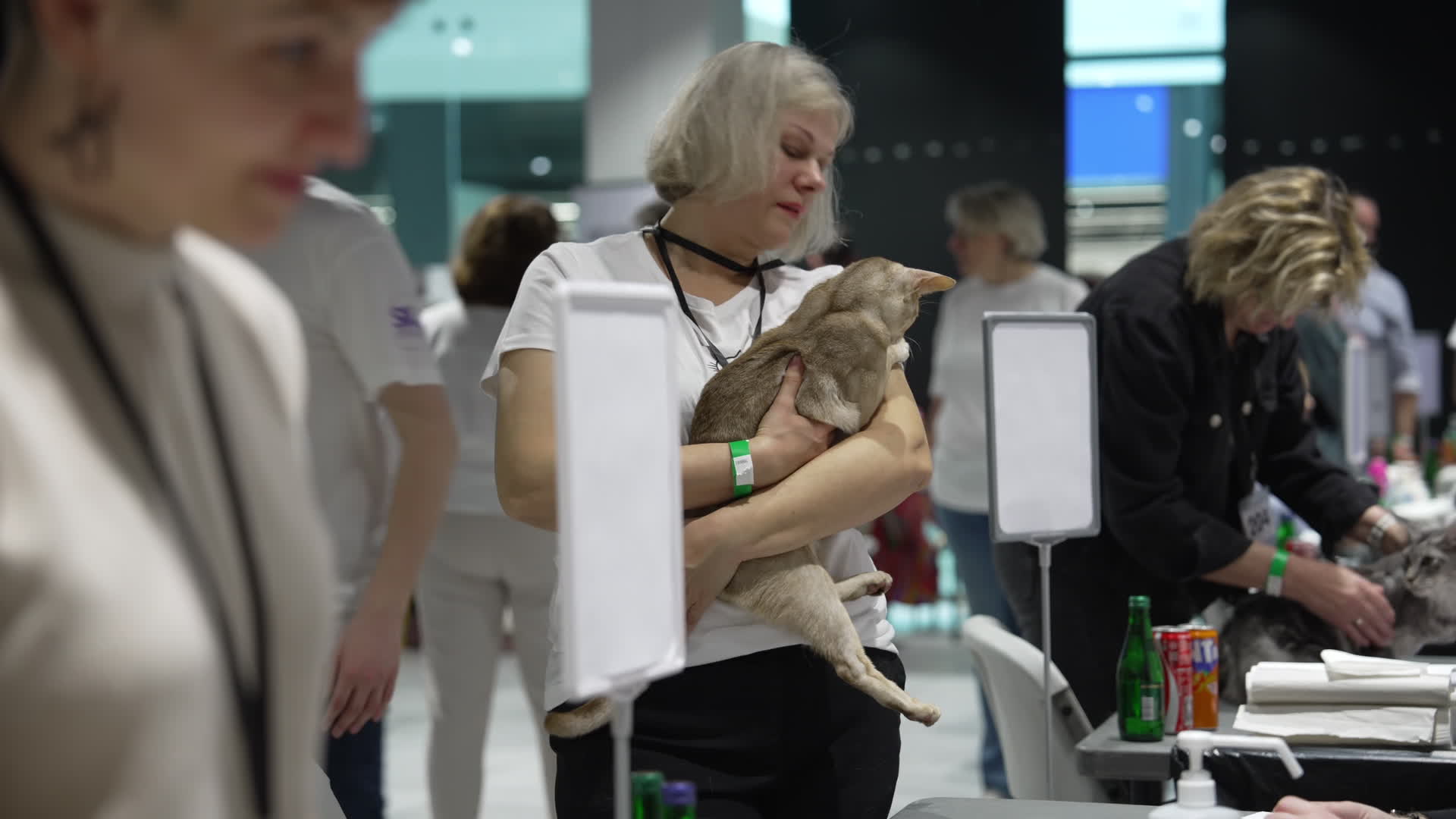 International Cat Show in Warsaw