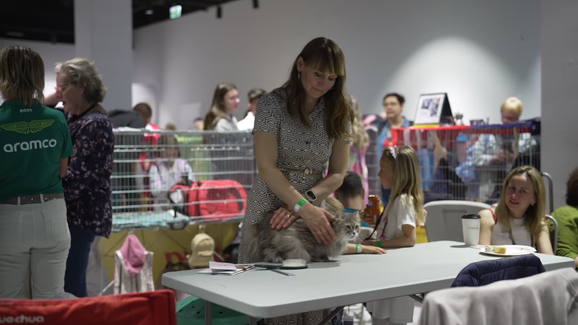 International Cat Show in Warsaw