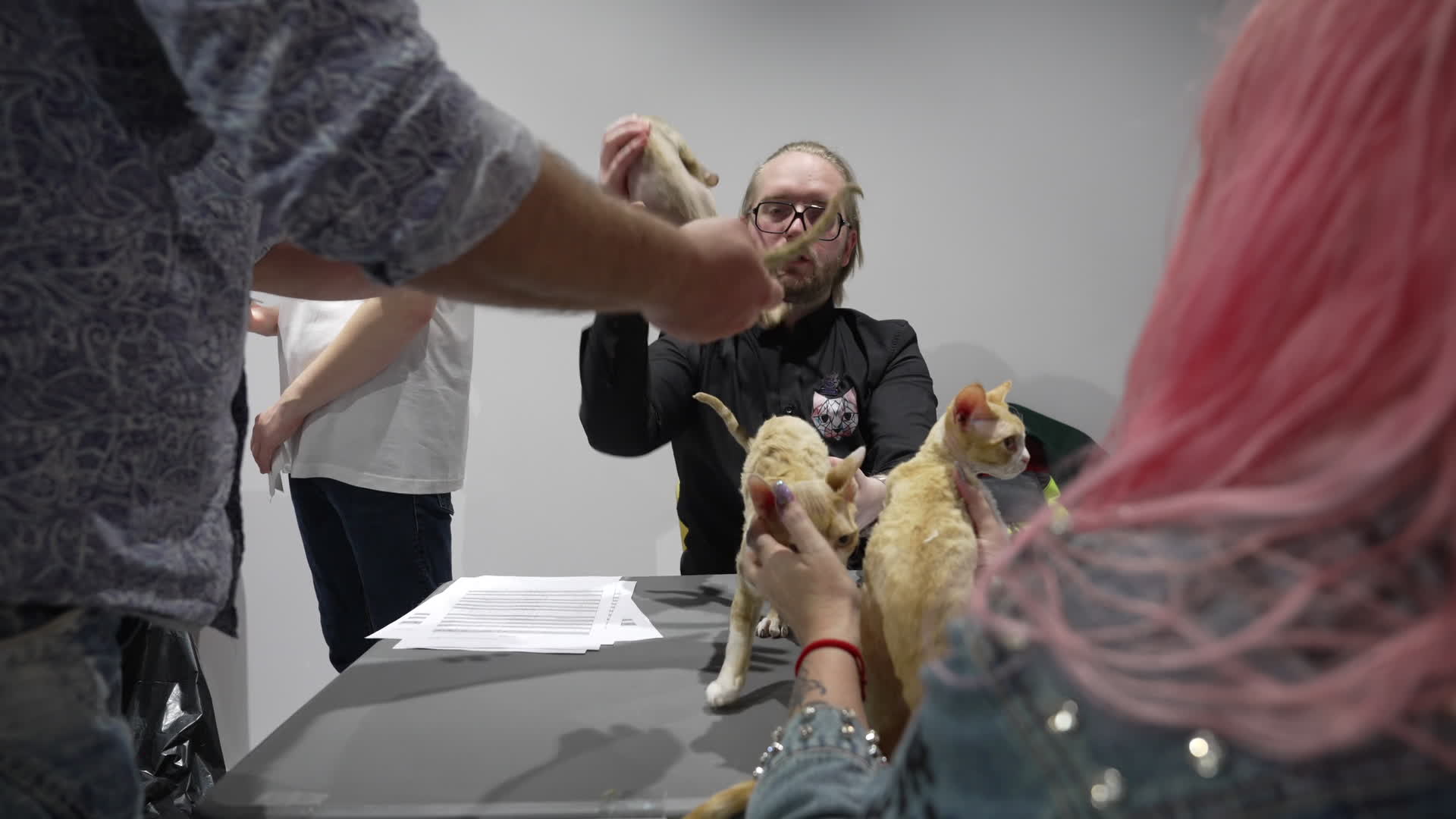 International Cat Show in Warsaw