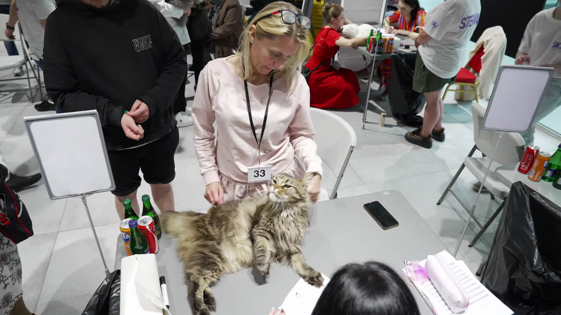 International Cat Show in Warsaw