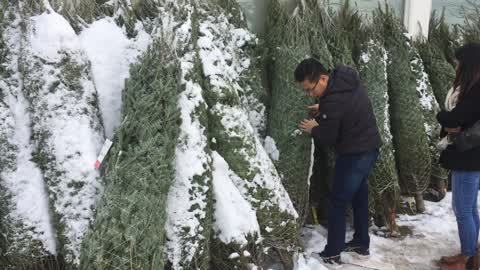Waiting for Christmas in Toronto