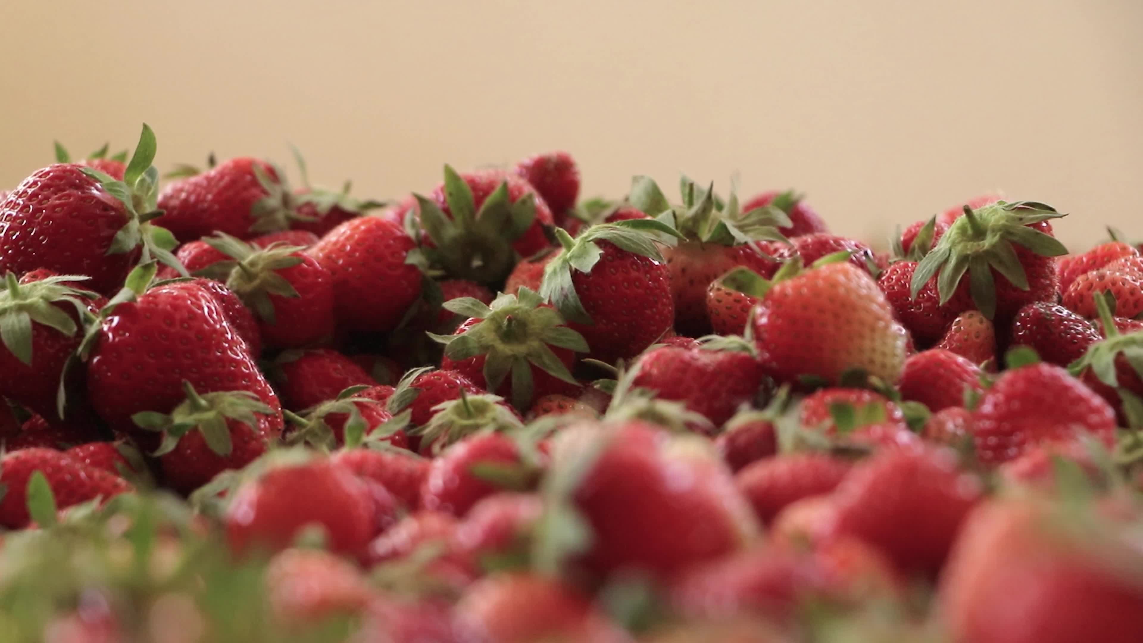 Strawberry Season in Kashmir