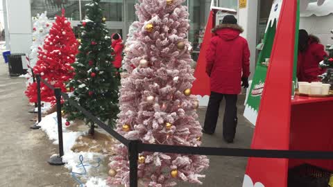 Waiting for Christmas in Toronto