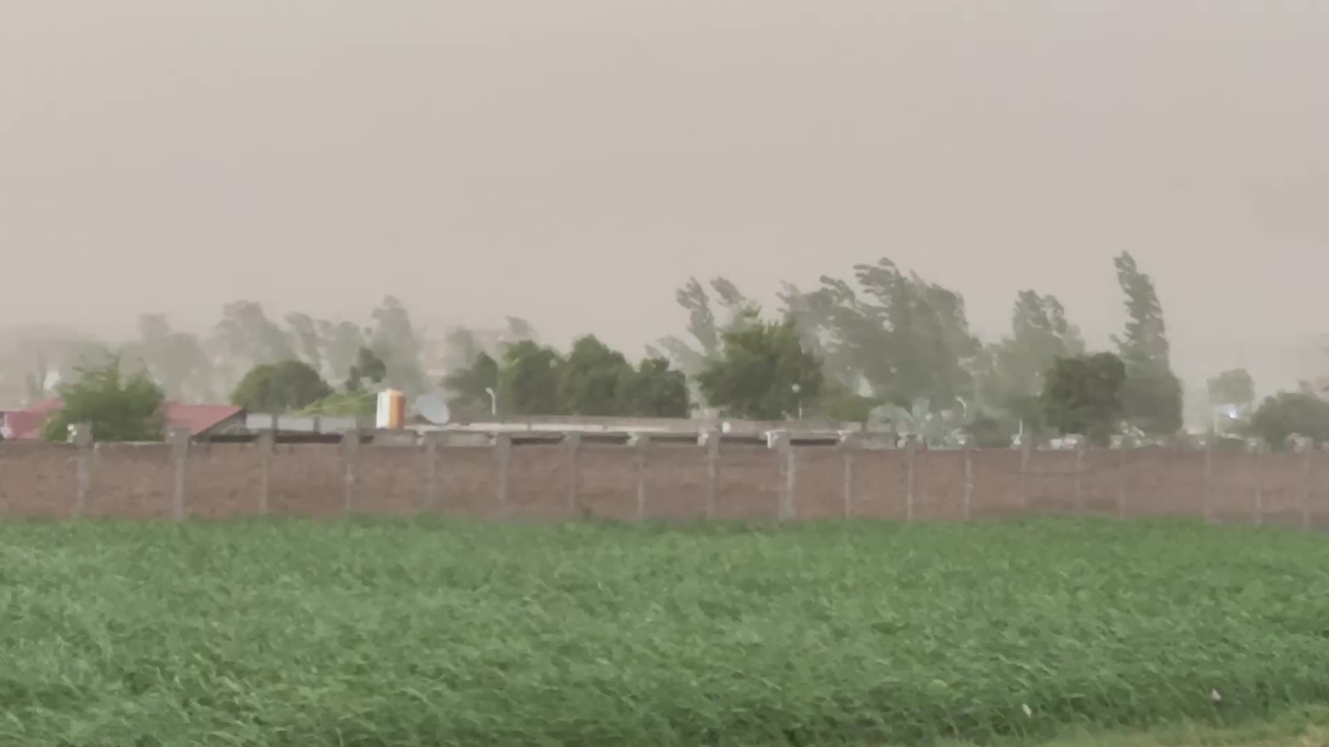 Severe storm hits Pakistani city of Peshawar 