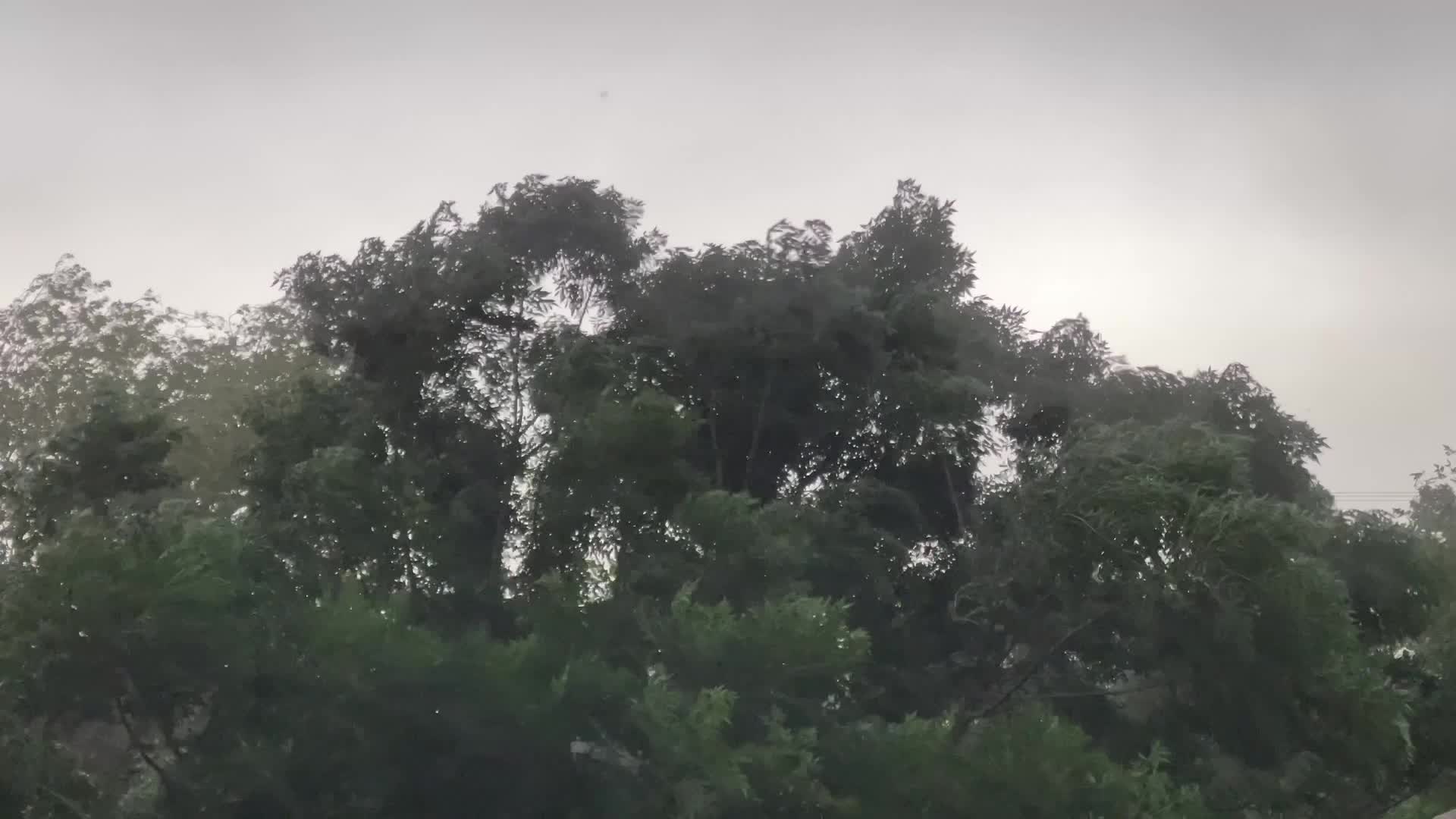 Severe storm hits Pakistani city of Peshawar 
