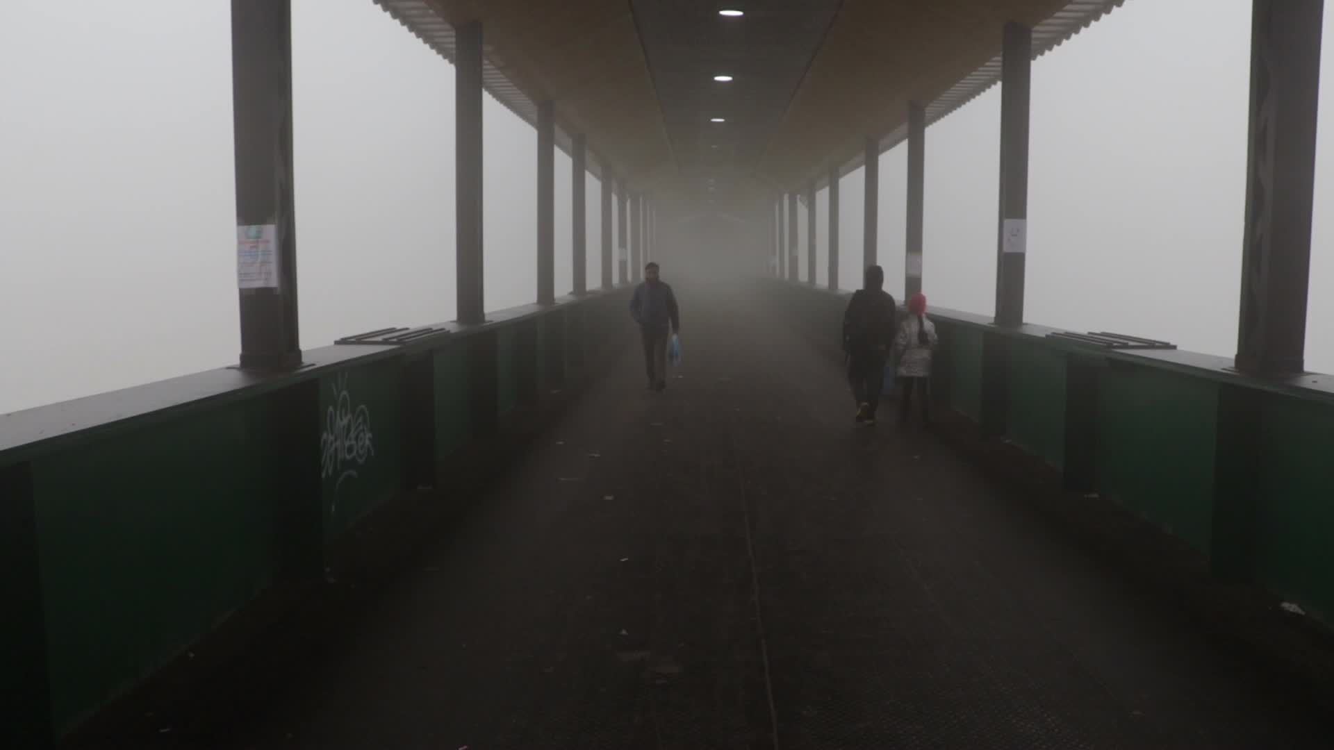 Dense fog gripped Kashmir
