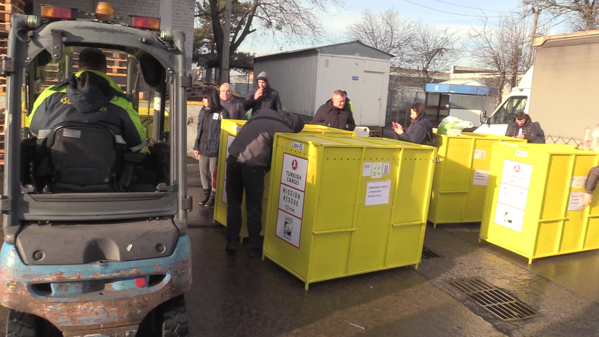 Five lions sent from Ukrainian Zoo to Ubuntu Wildlife Sanctuary in South Africa