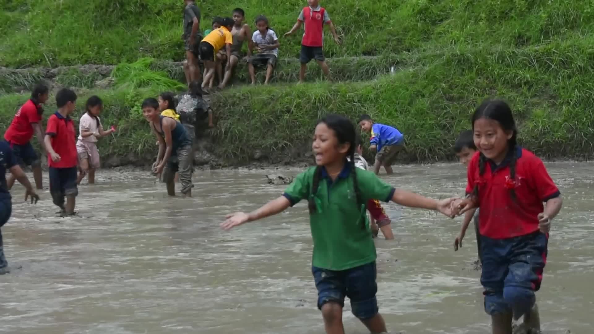 National Paddy Day celebration in Nepal