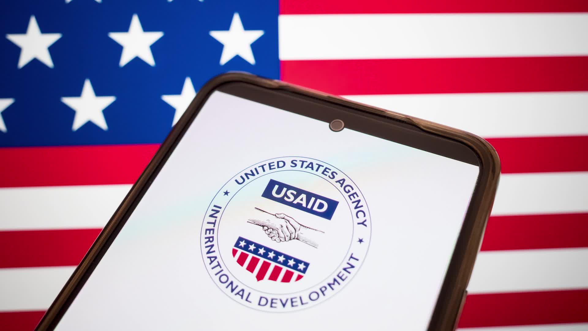 USAID Logo Illustration