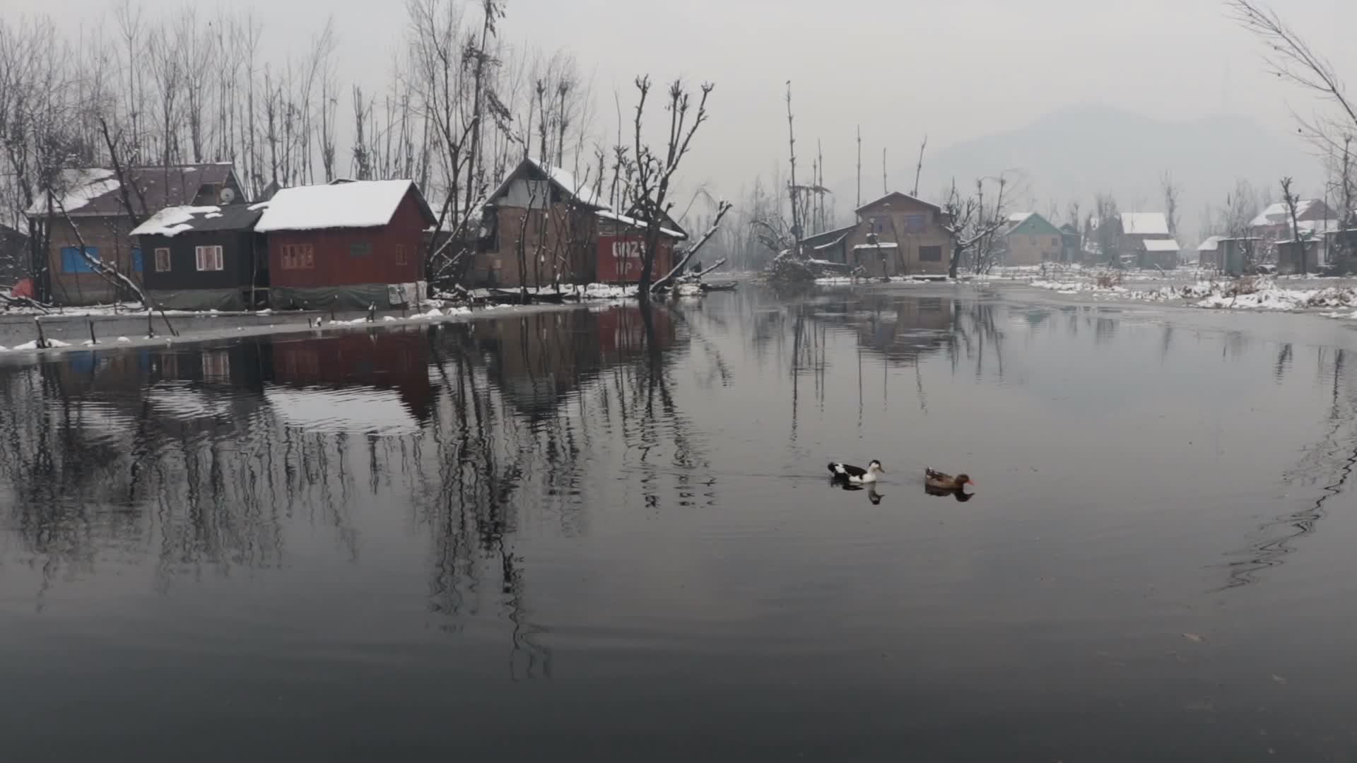 Kashmir Receives Fresh Snowfall