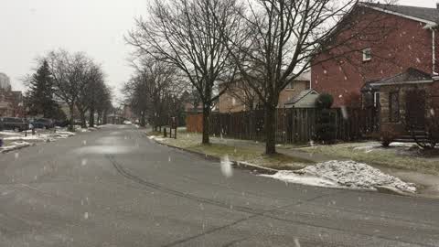 Wet snow covered the city of Toronto
