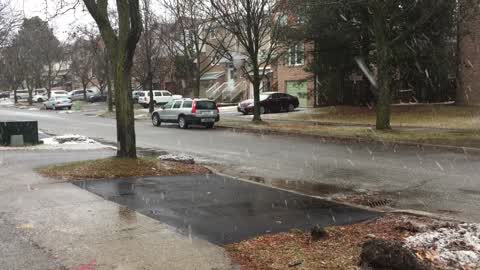 Wet snow covered the city of Toronto