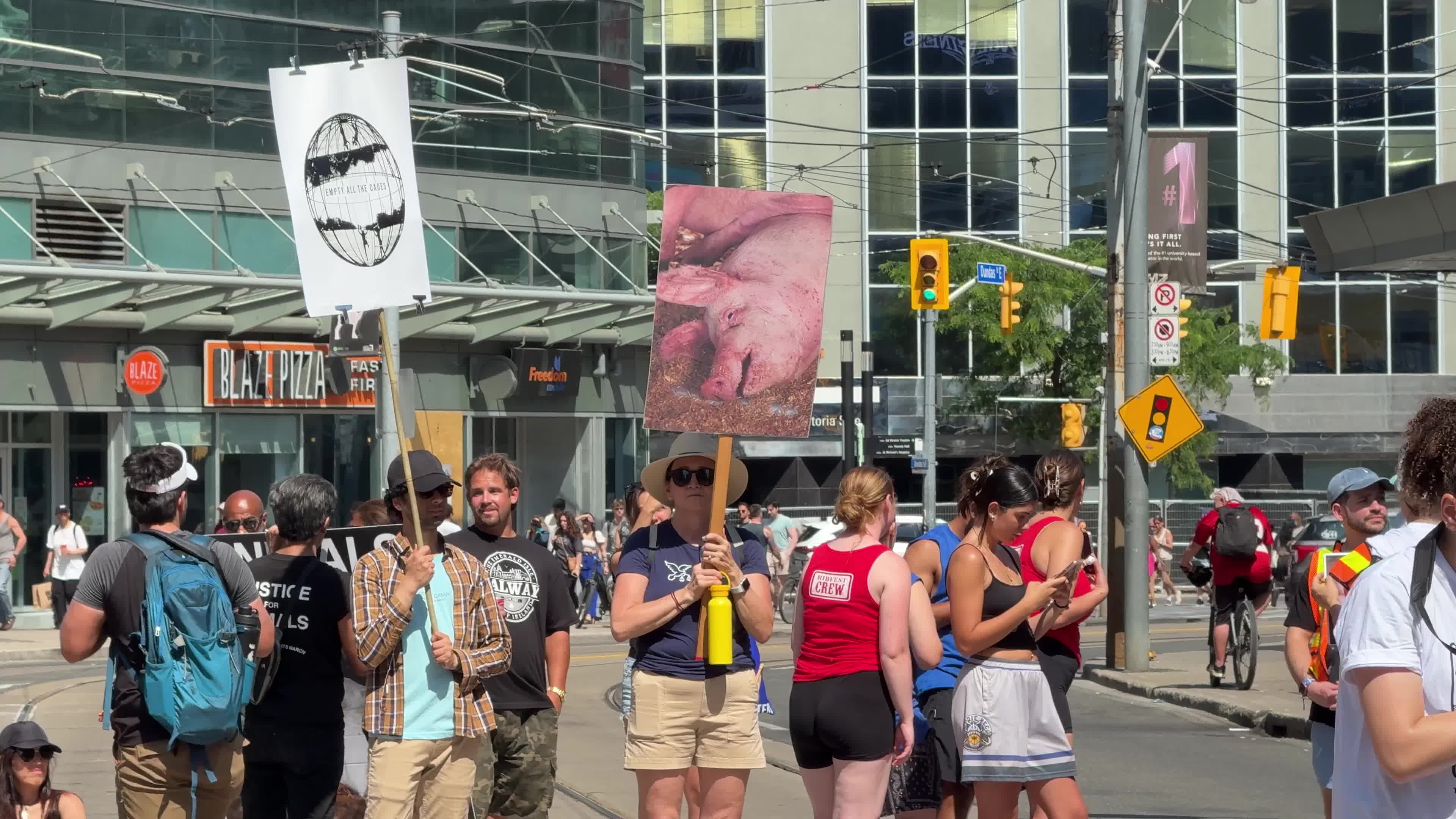 Animals Rights March in Toronto, Canada