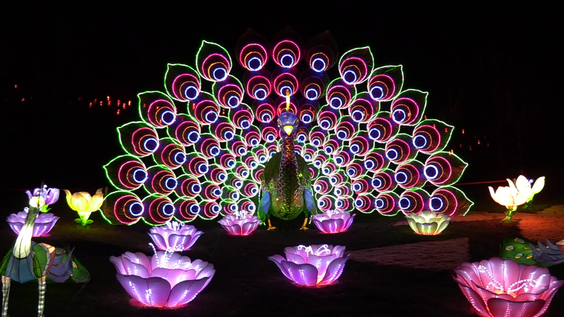 Festival of Giant Chinese Lanterns in Ukraine