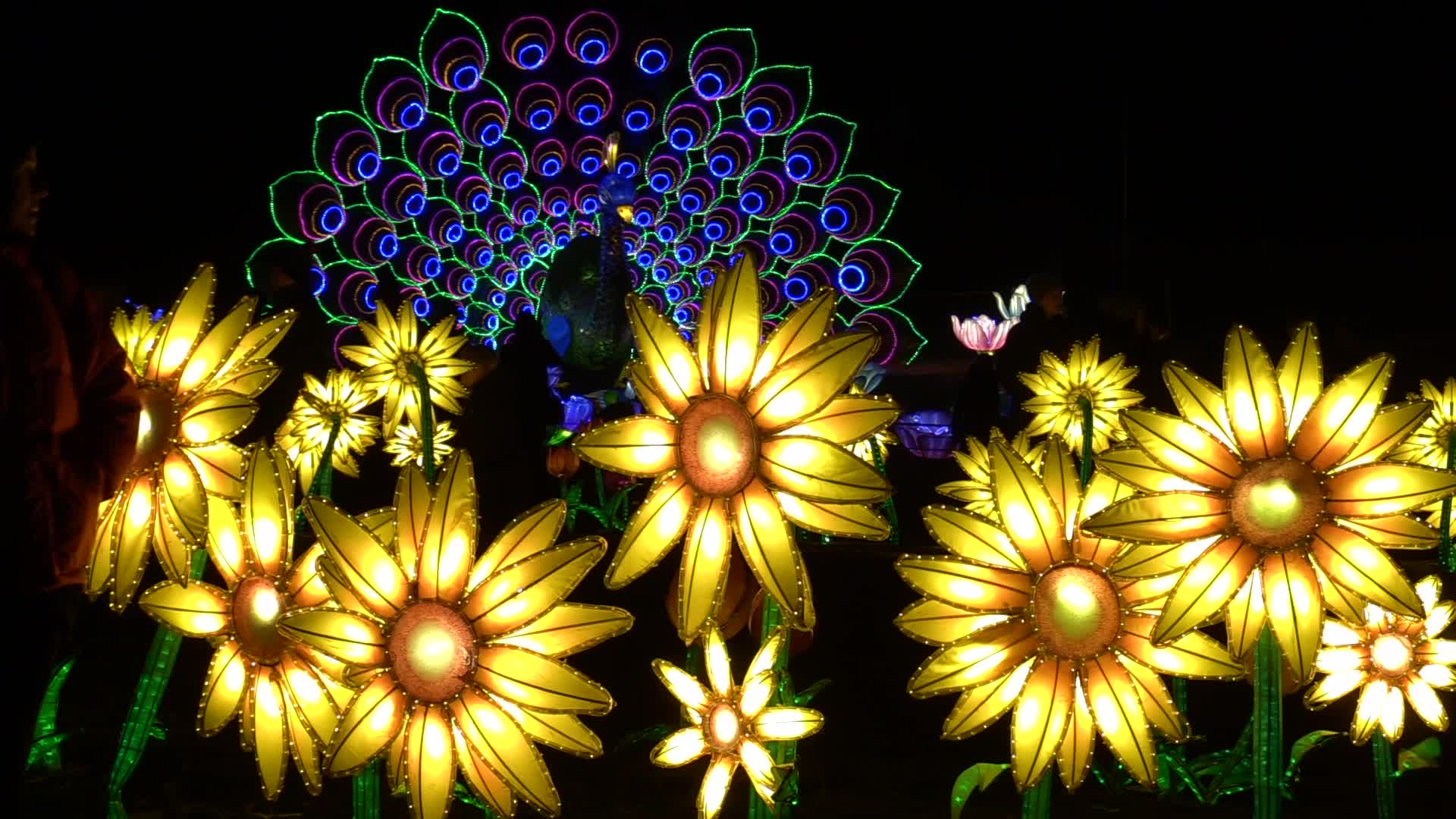Festival of Giant Chinese Lanterns in Ukraine