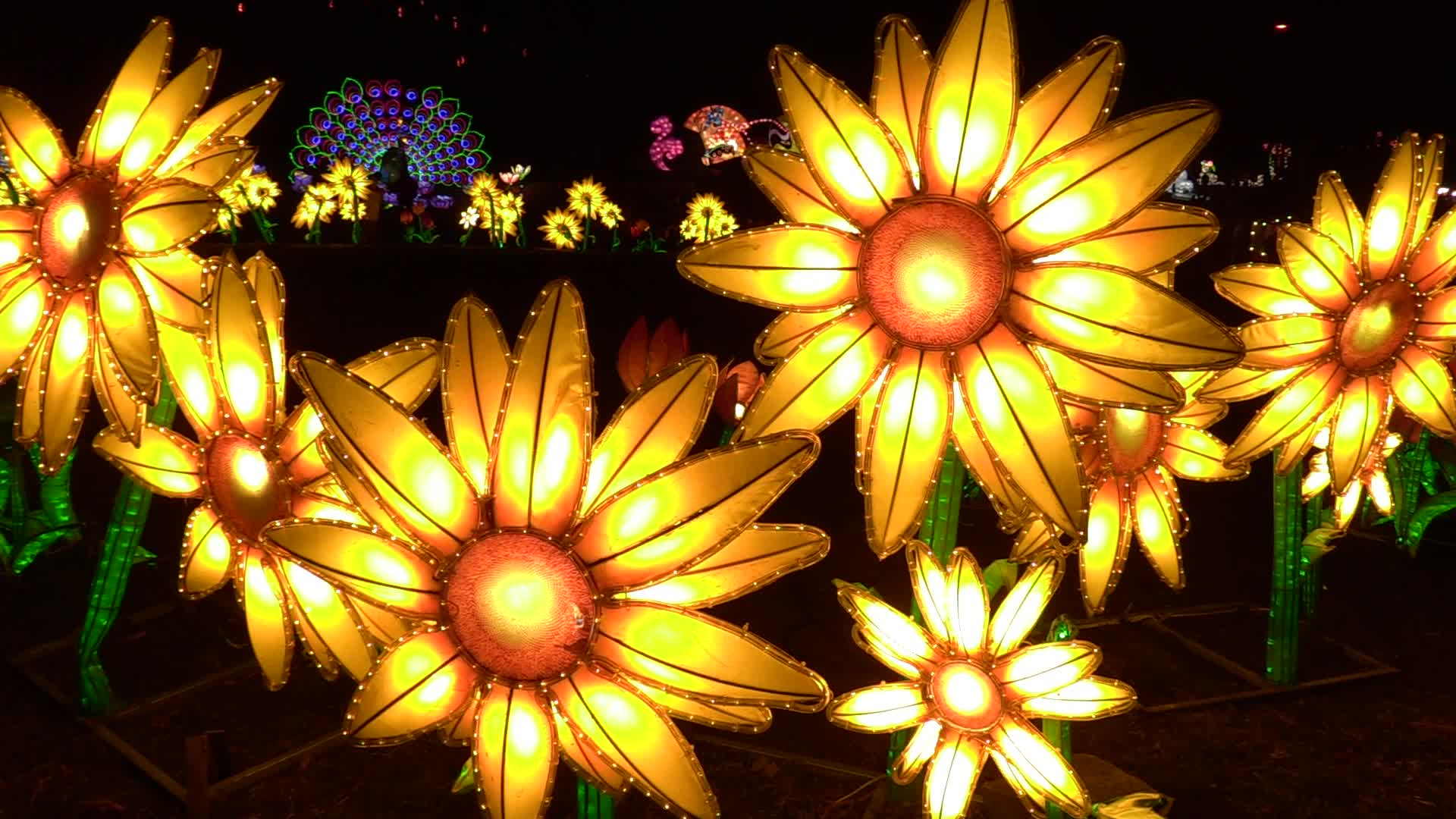 Festival of Giant Chinese Lanterns in Ukraine