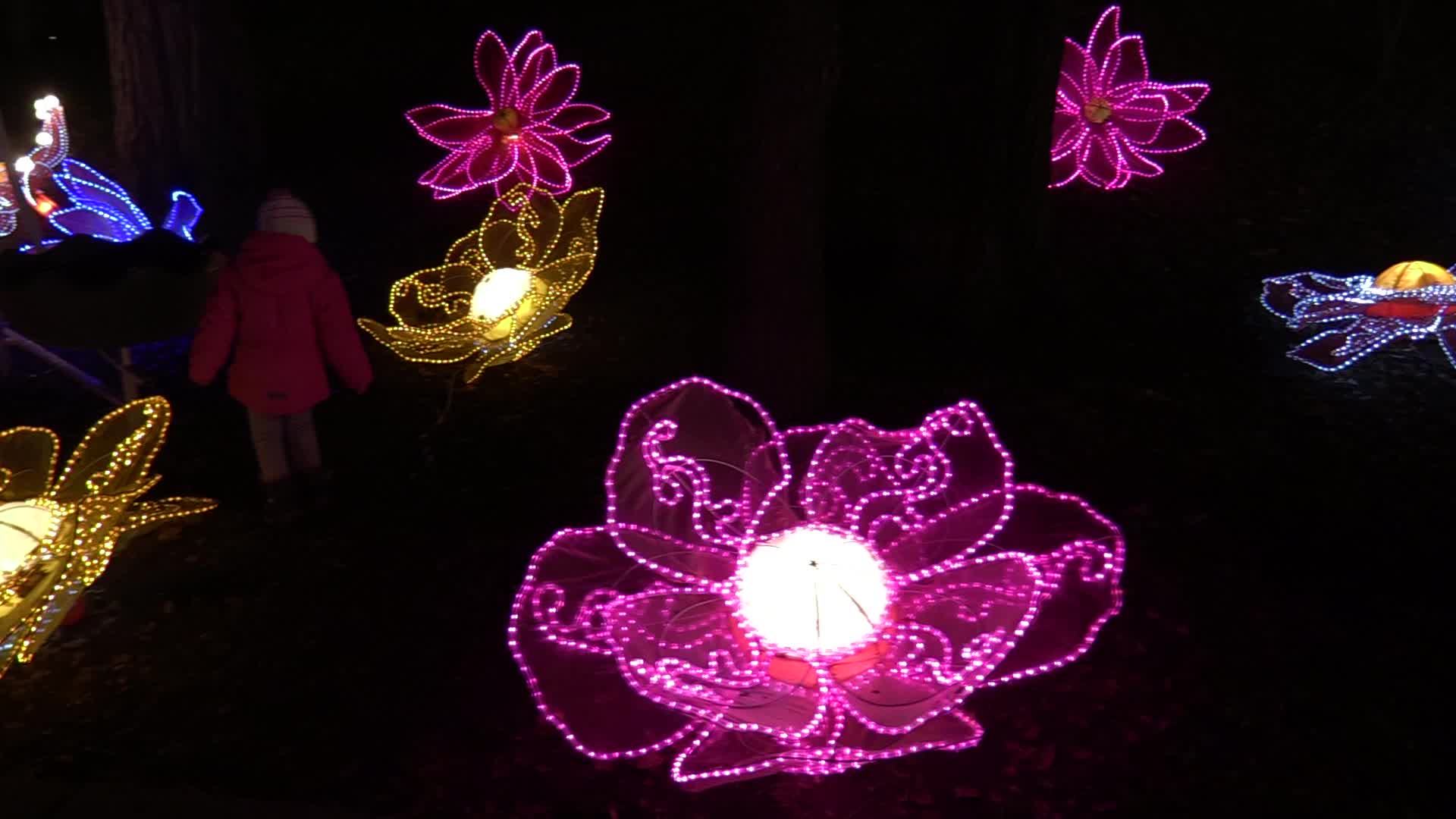Festival of Giant Chinese Lanterns in Ukraine