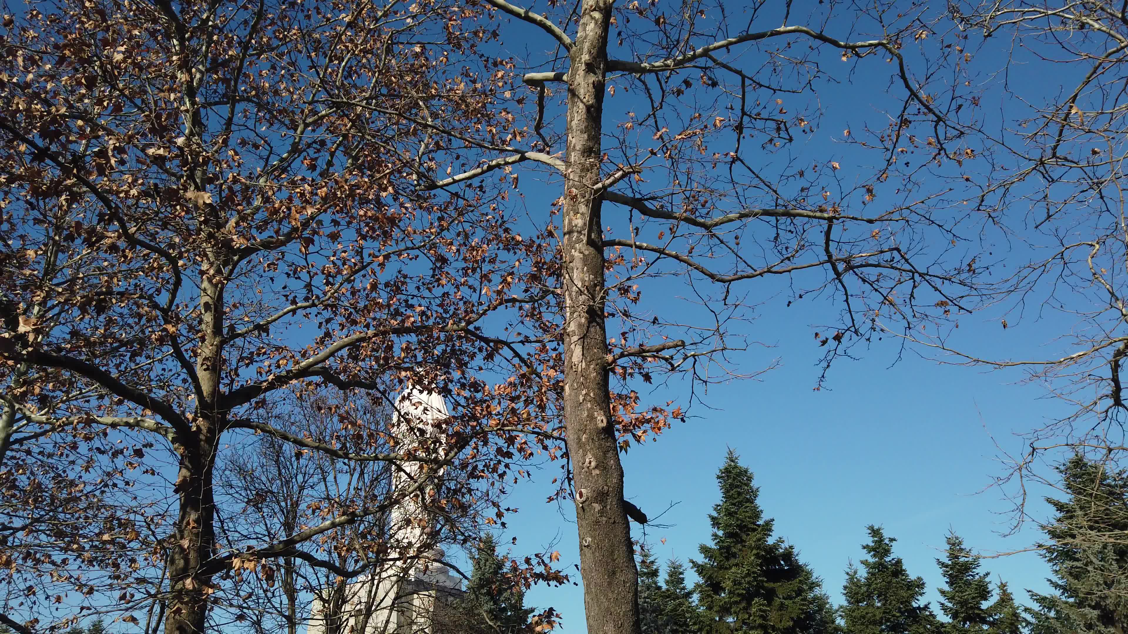 Bulgarian cities - Haskovo the City of the Virgin Mary, Mother of Jesus Monument