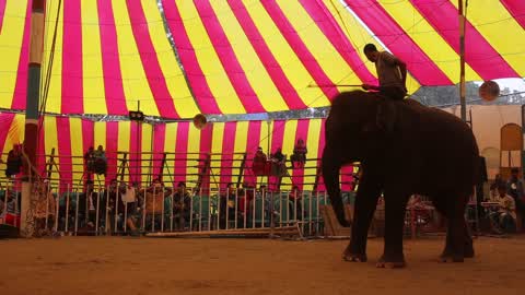 Traditional Circus Show in Dhaka