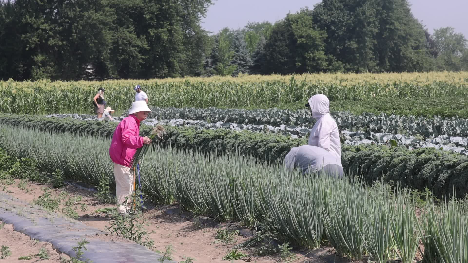 Agriculture in Canada