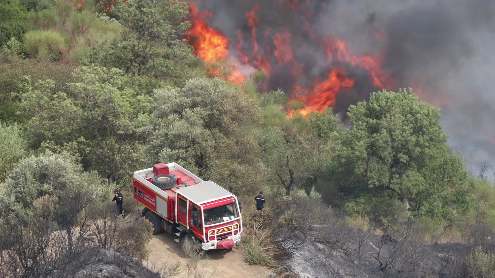 Fires in the Adekar mountains in Bejaia, Algeria
