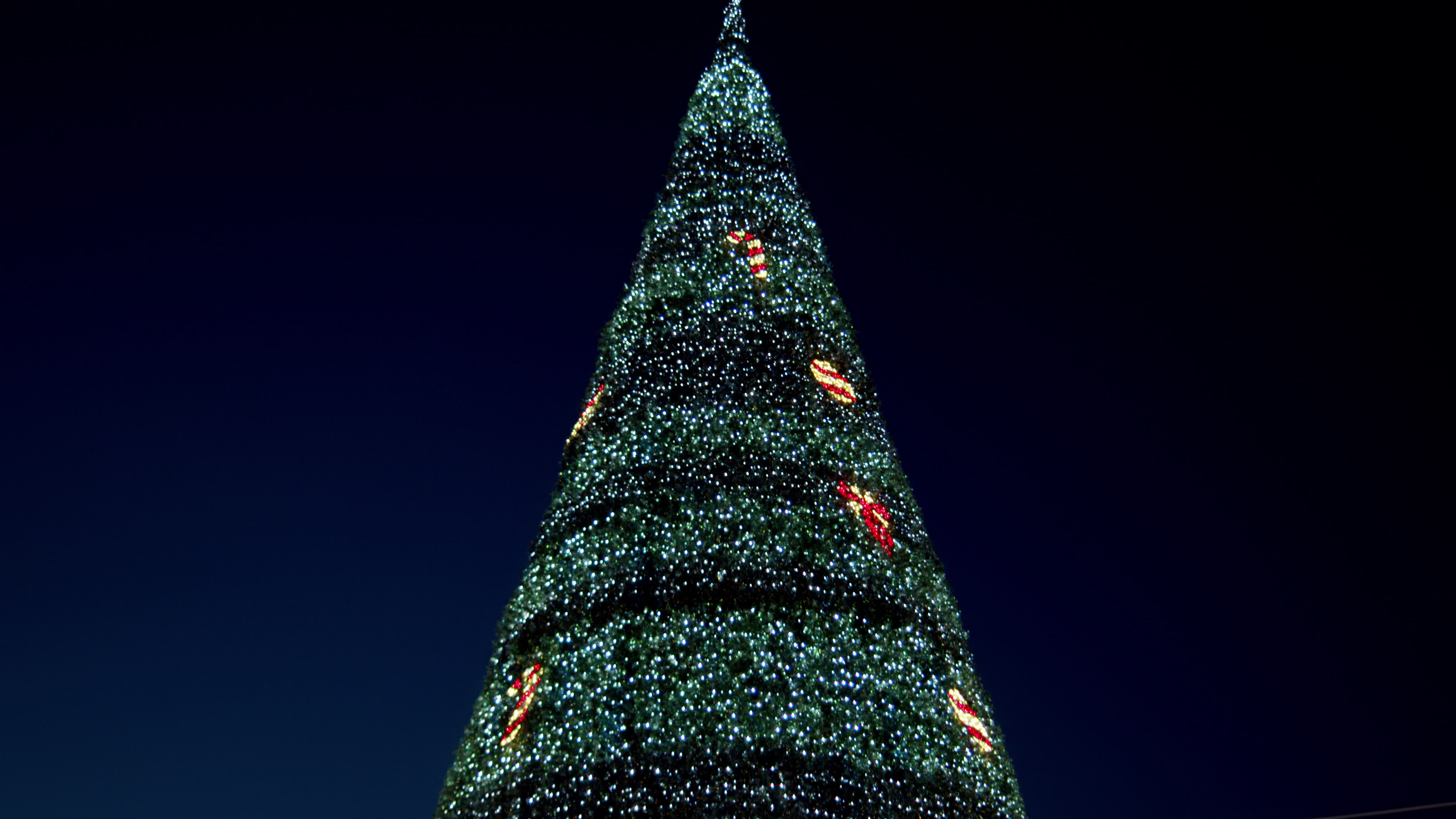 Christmas Lights In L'Aquila