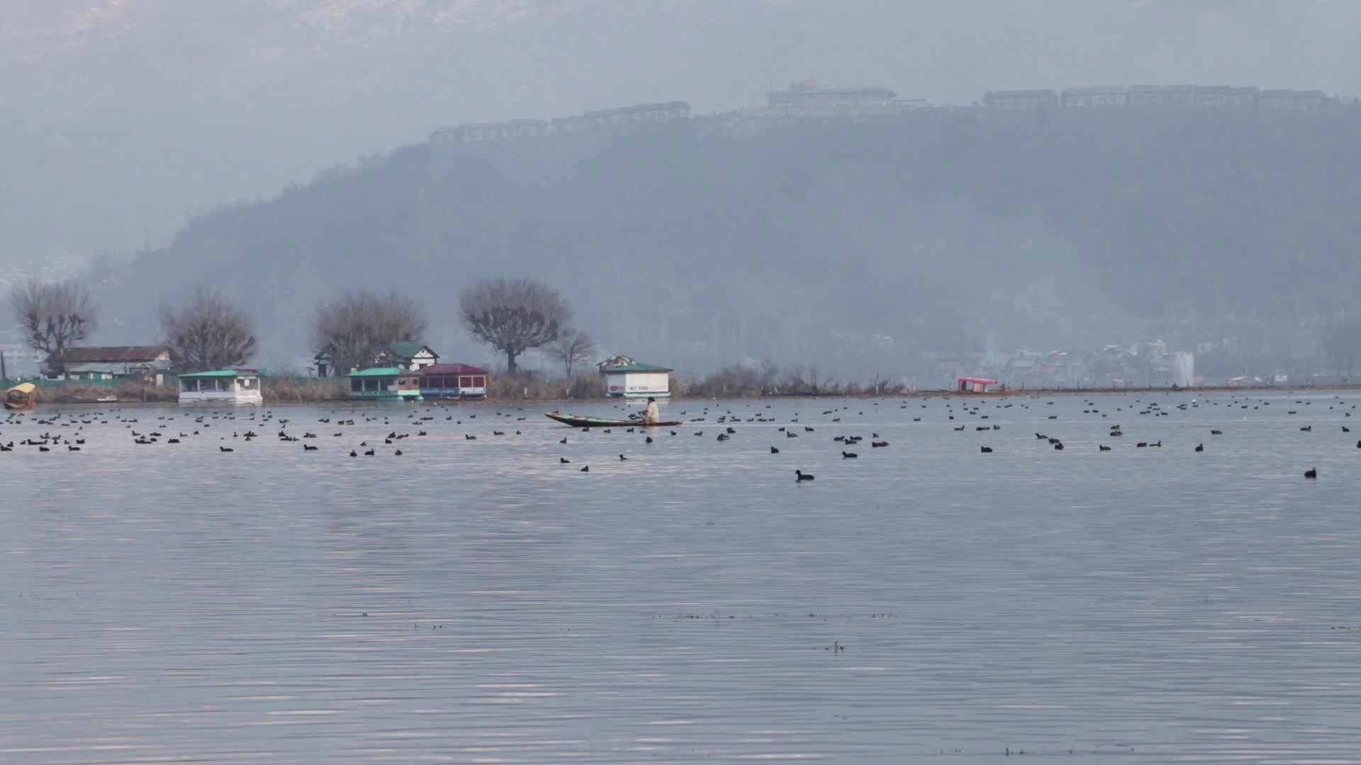 Dal Lake & snow-capped mountains
