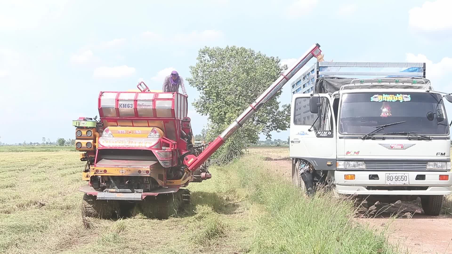 Thailand Agricutlure