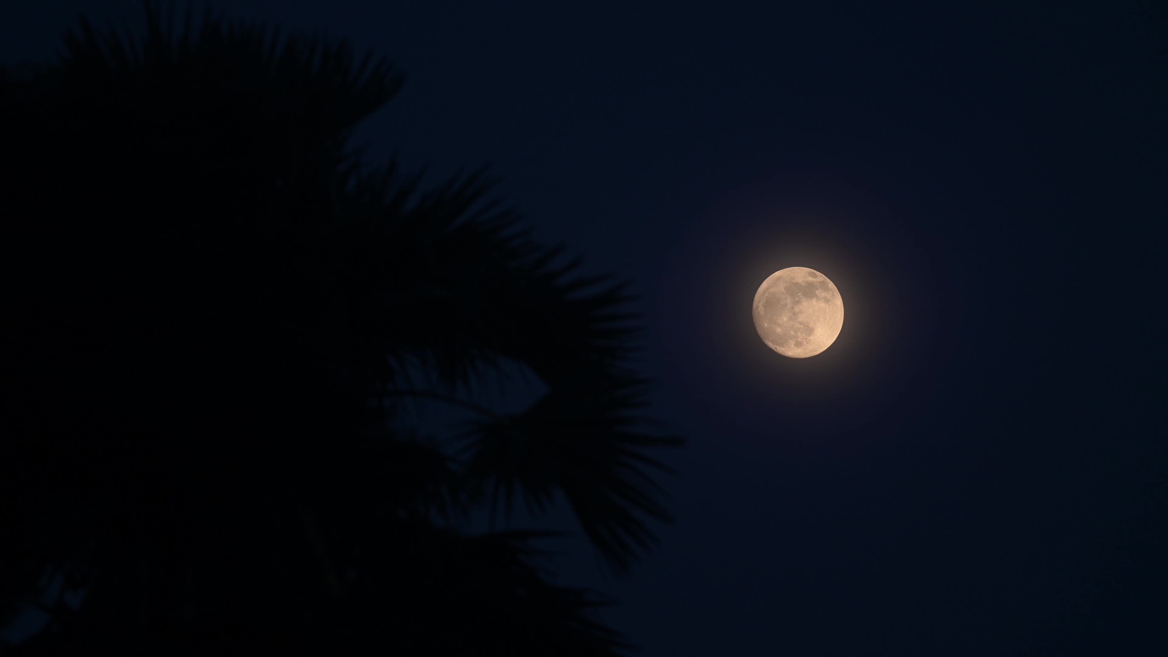 Lunar Corona - Atmospheric Optics