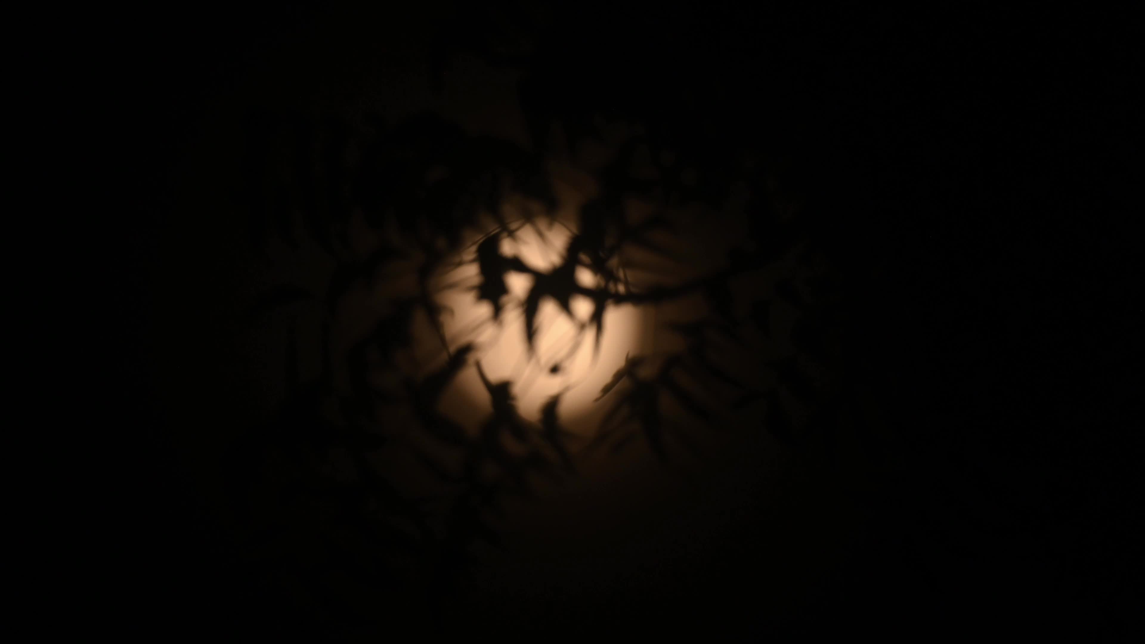 The first supermoon of the year - October’s full harvest moon 