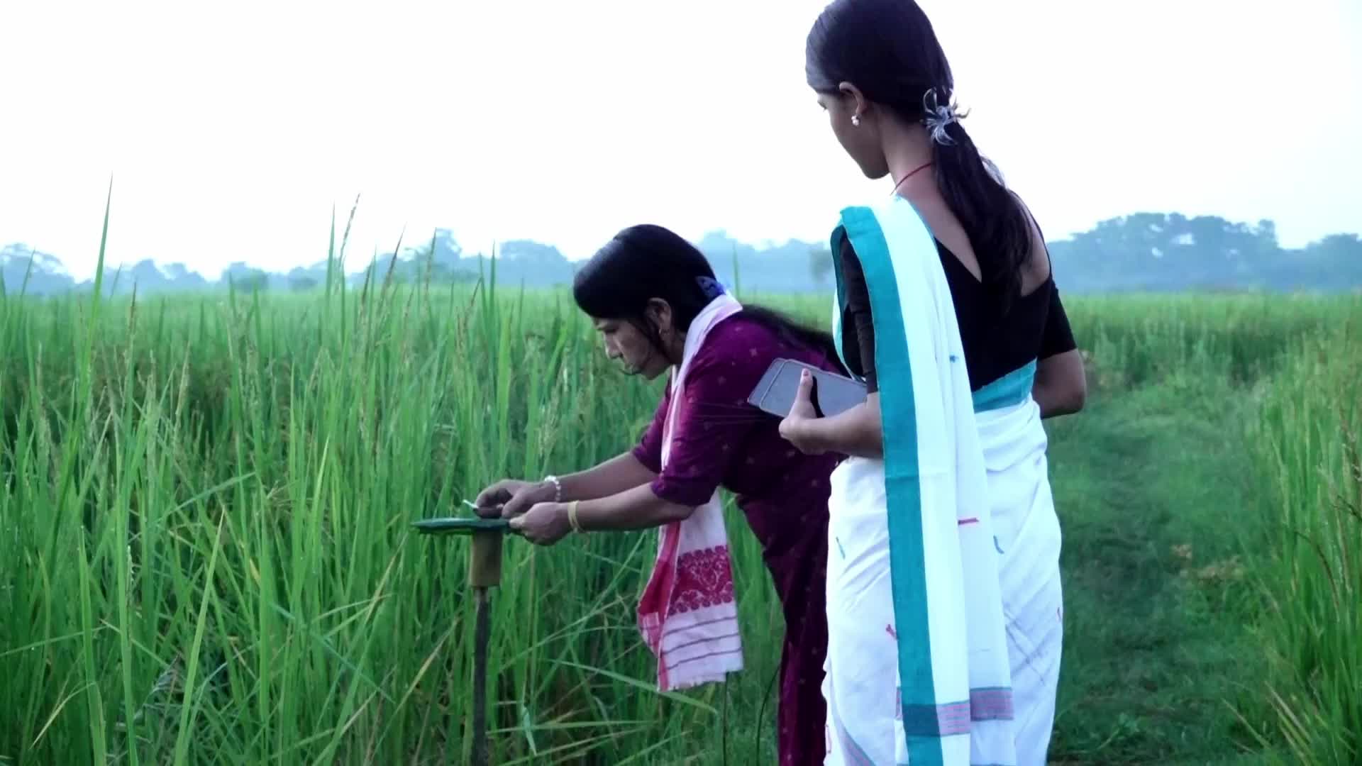 Kati Bihu Festival In India