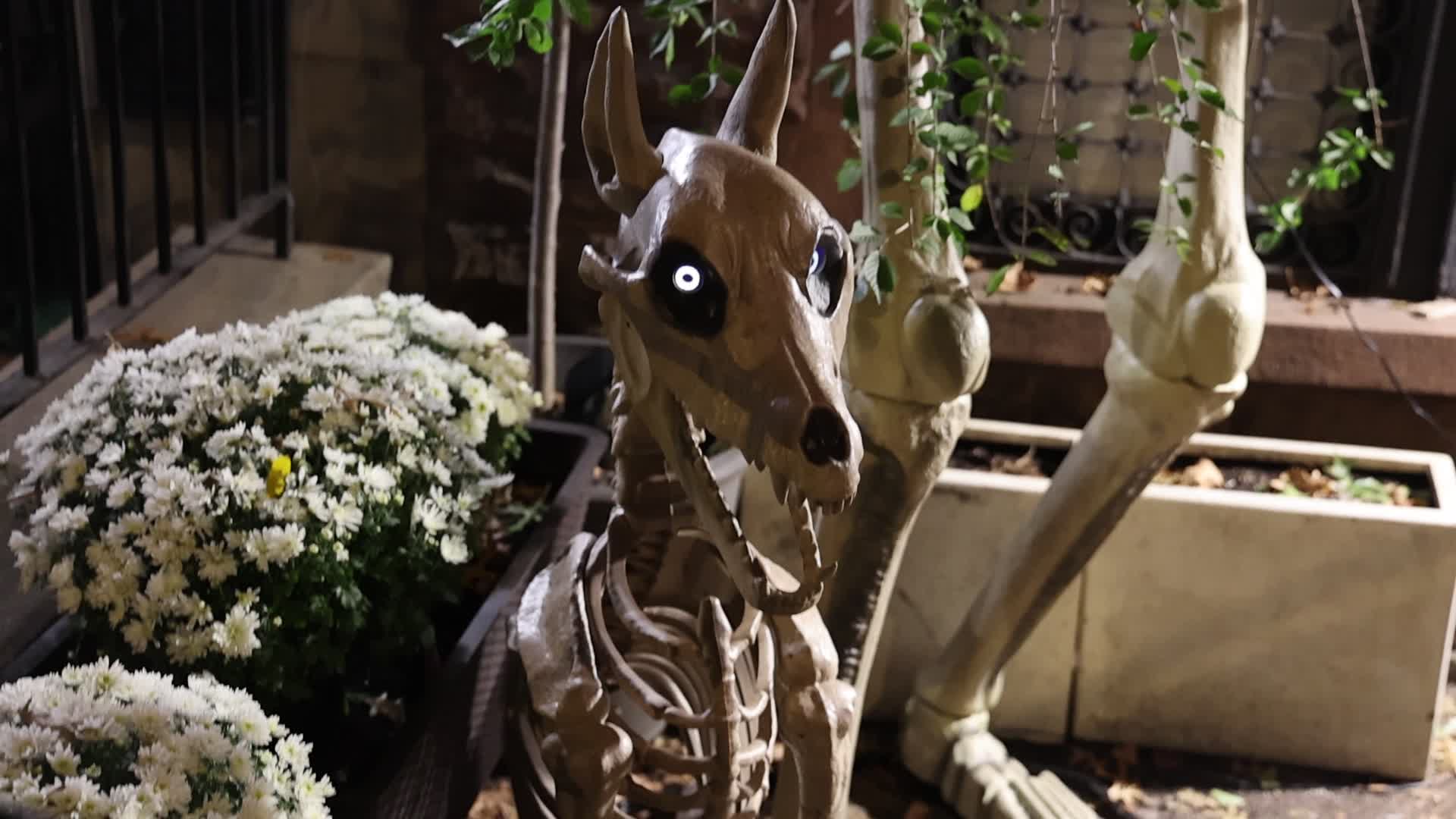 New York City Halloween Homes
