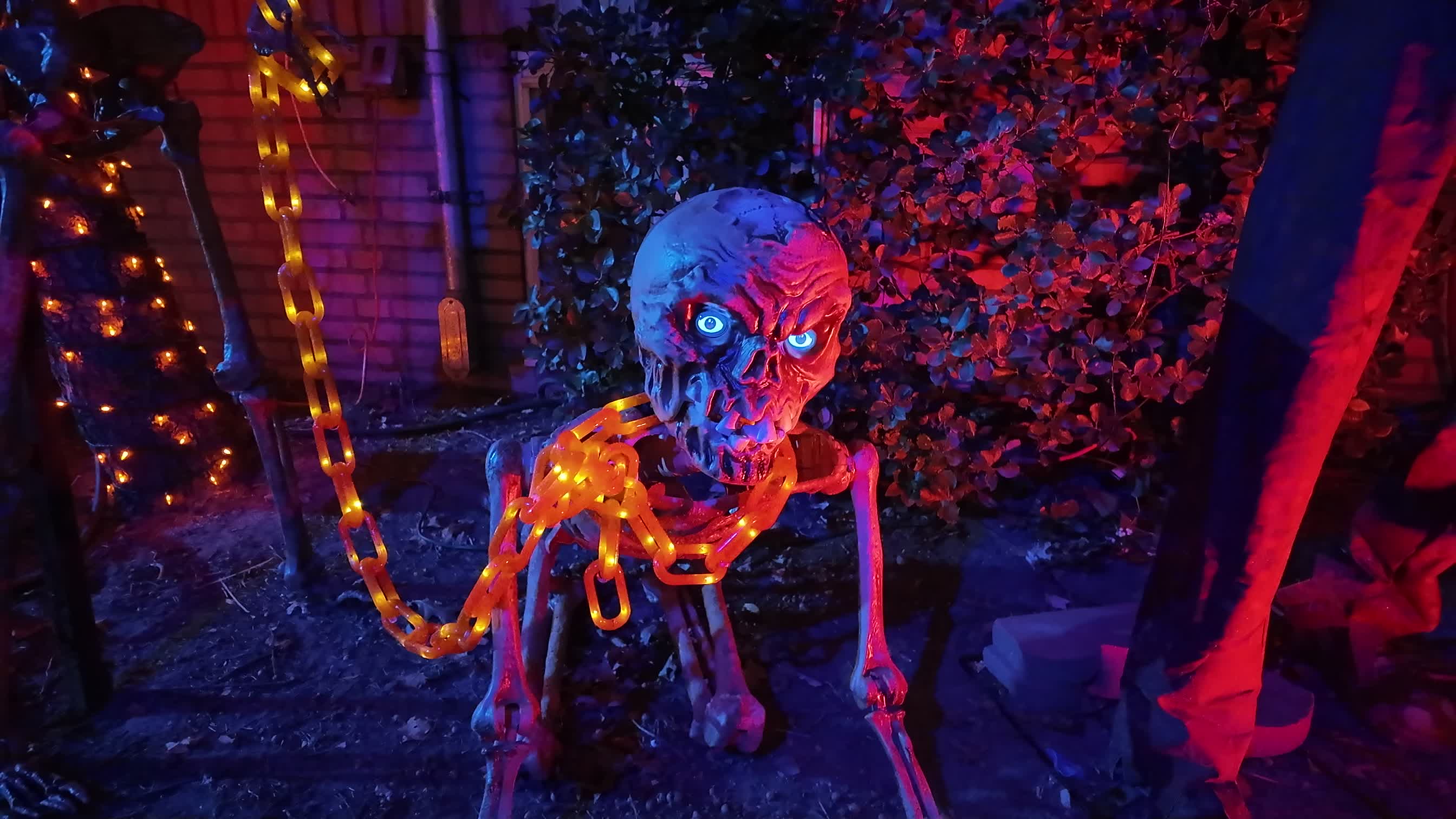 Halloween in Brooklyn