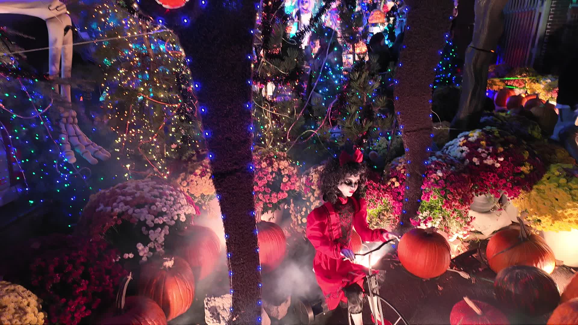 Halloween in Brooklyn