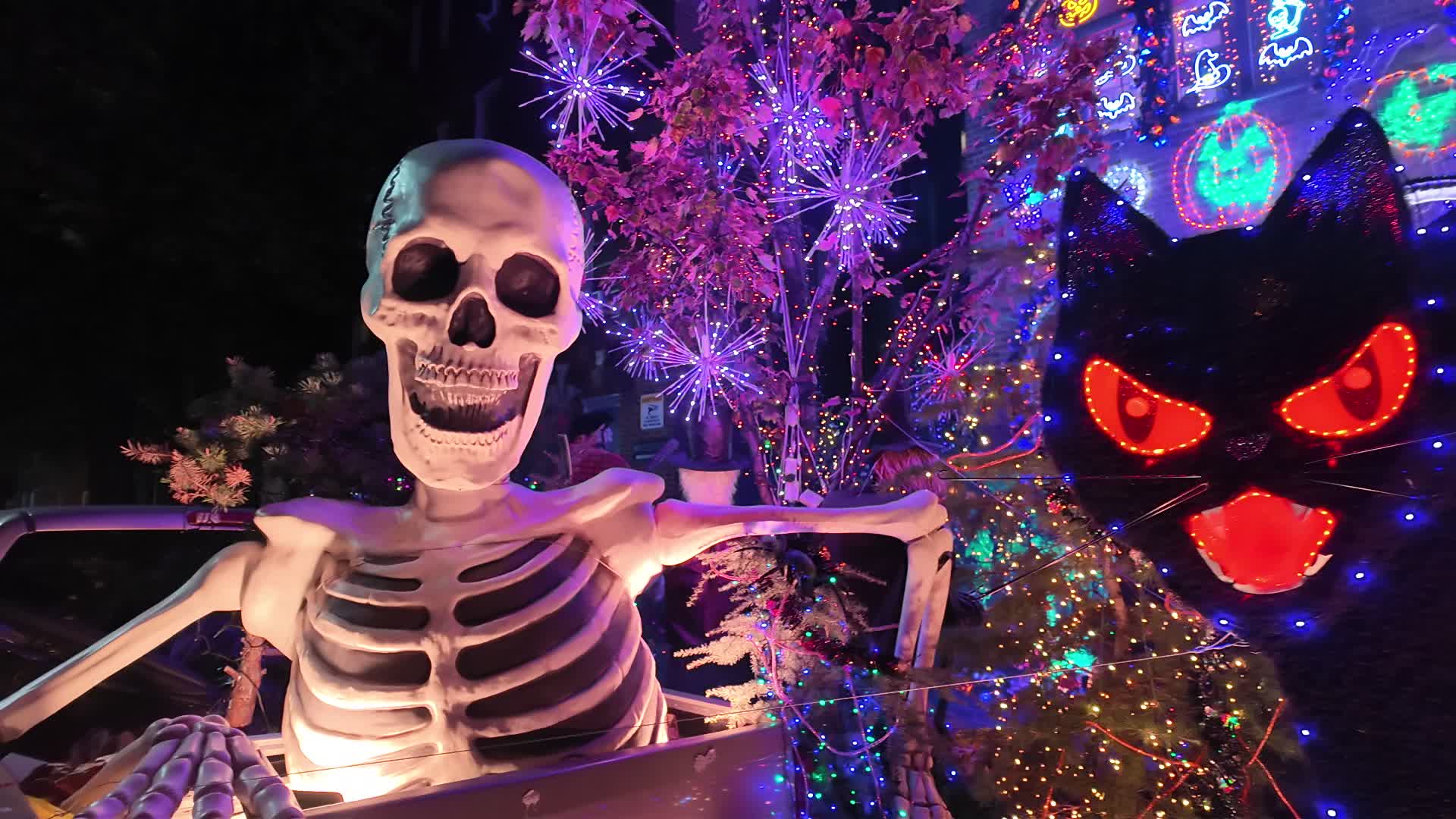 Halloween in Brooklyn