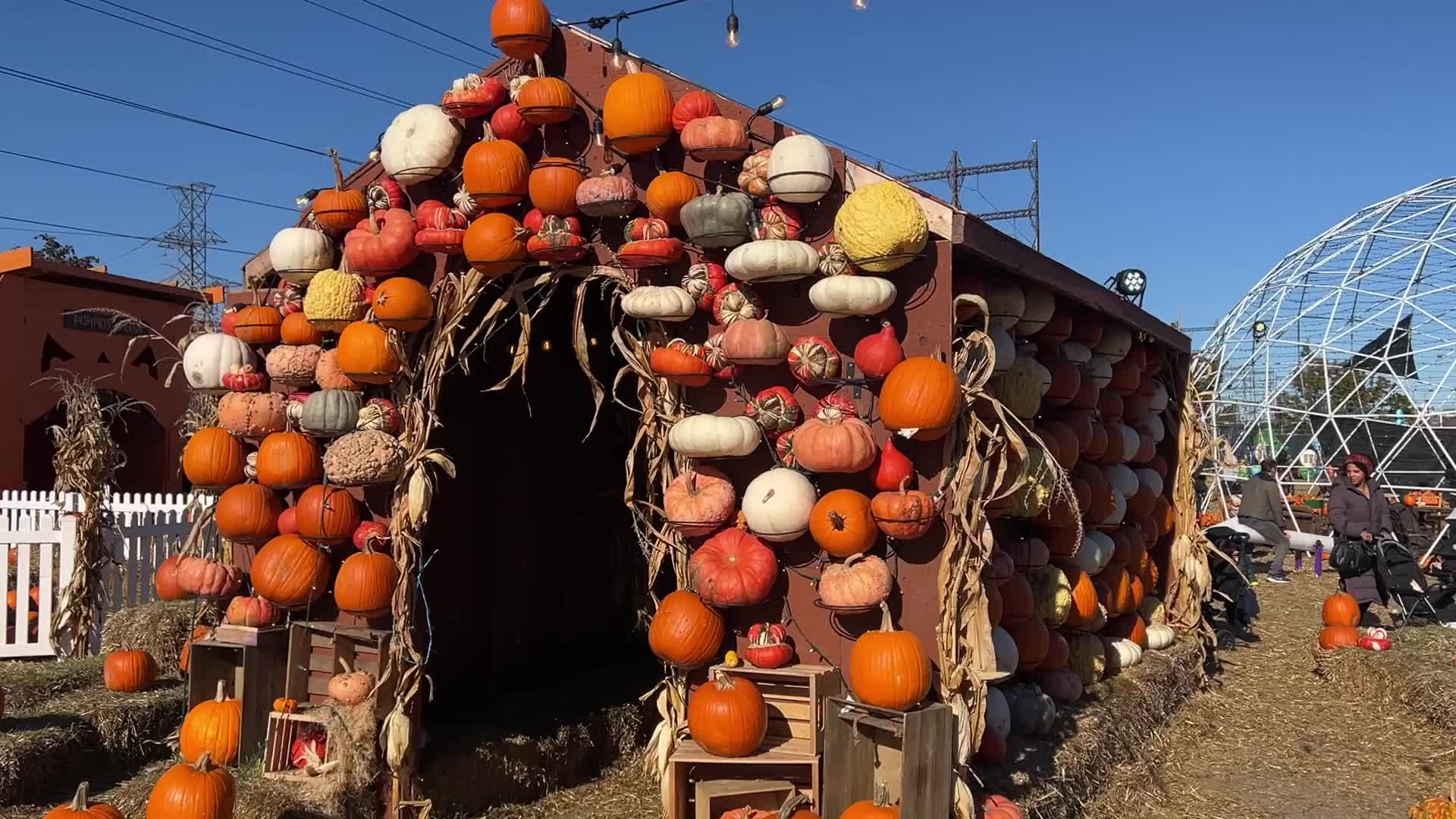 Pumpkinville fall fair in Toronto