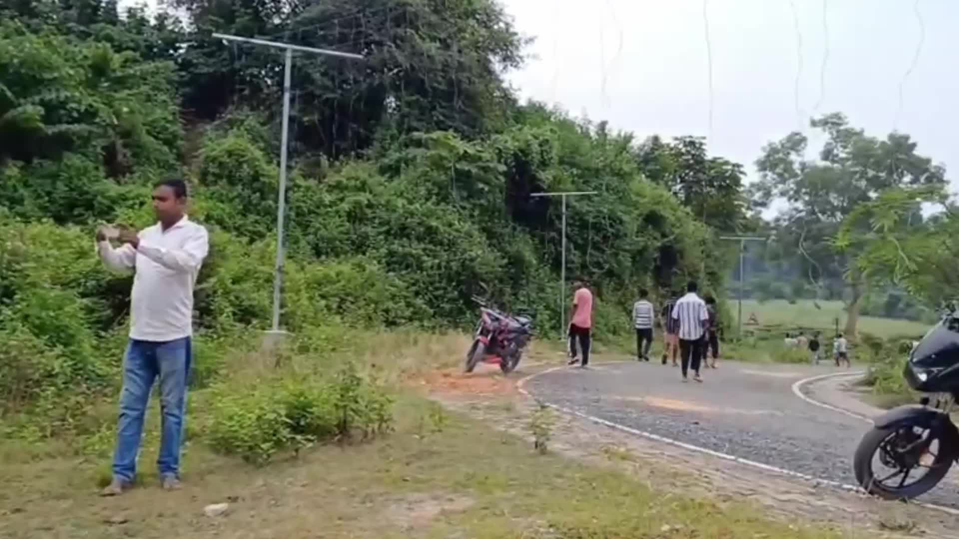 Rhino Carcass Found in India 
