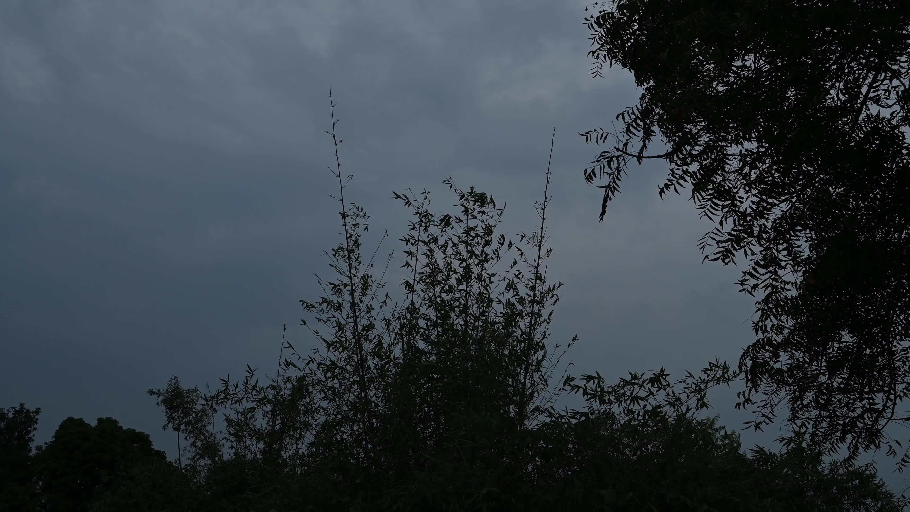 Cyclone Montha - Heavy rainfall alert 