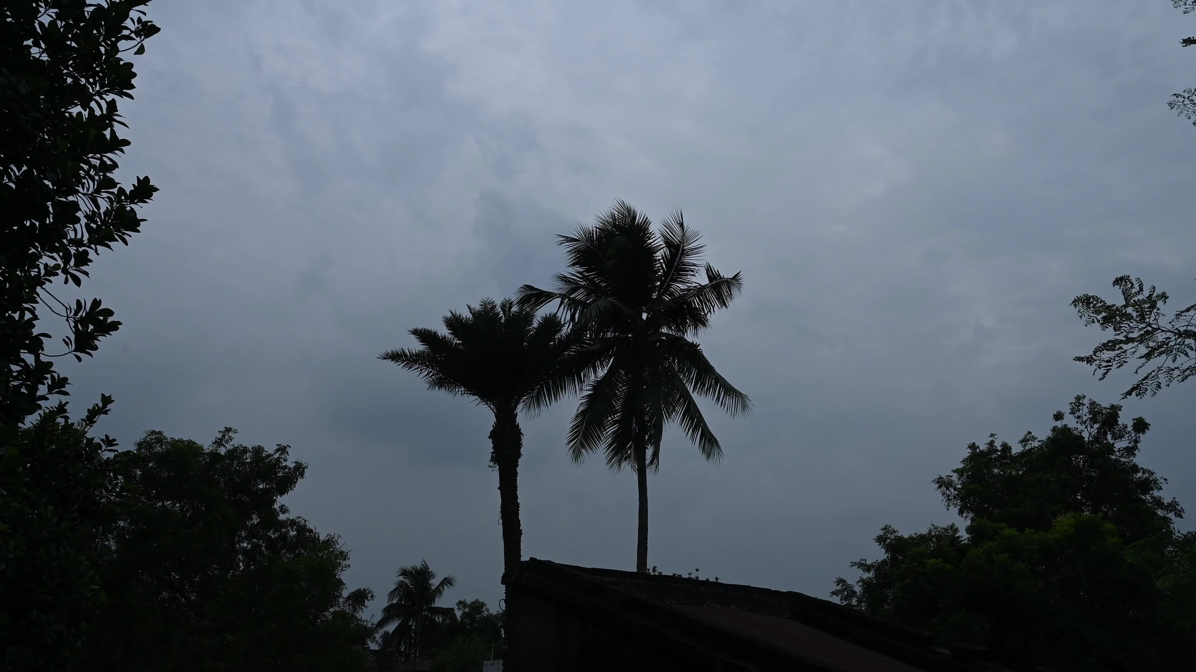 Cyclone Montha - Heavy rainfall alert 