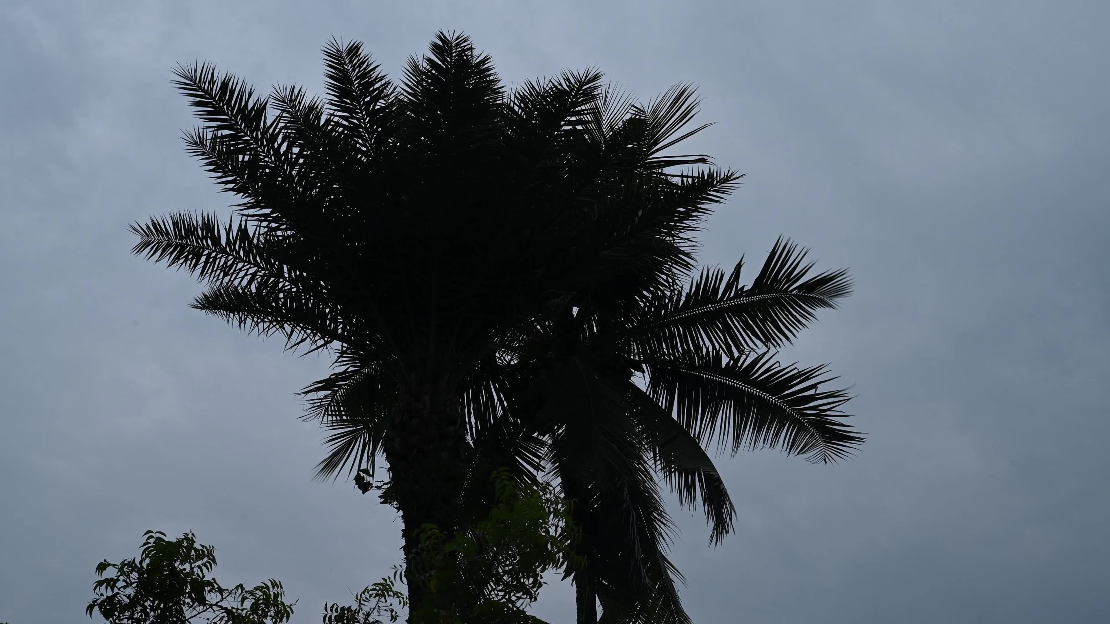 Cyclone Montha - Heavy rainfall alert 