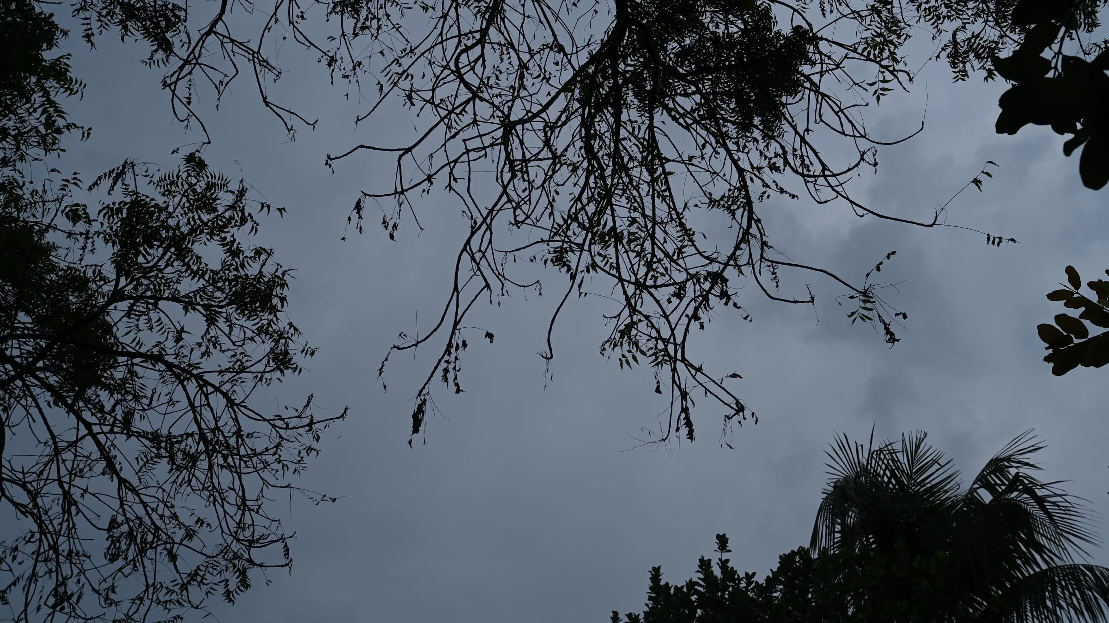 Cyclone Montha - Heavy rainfall alert 
