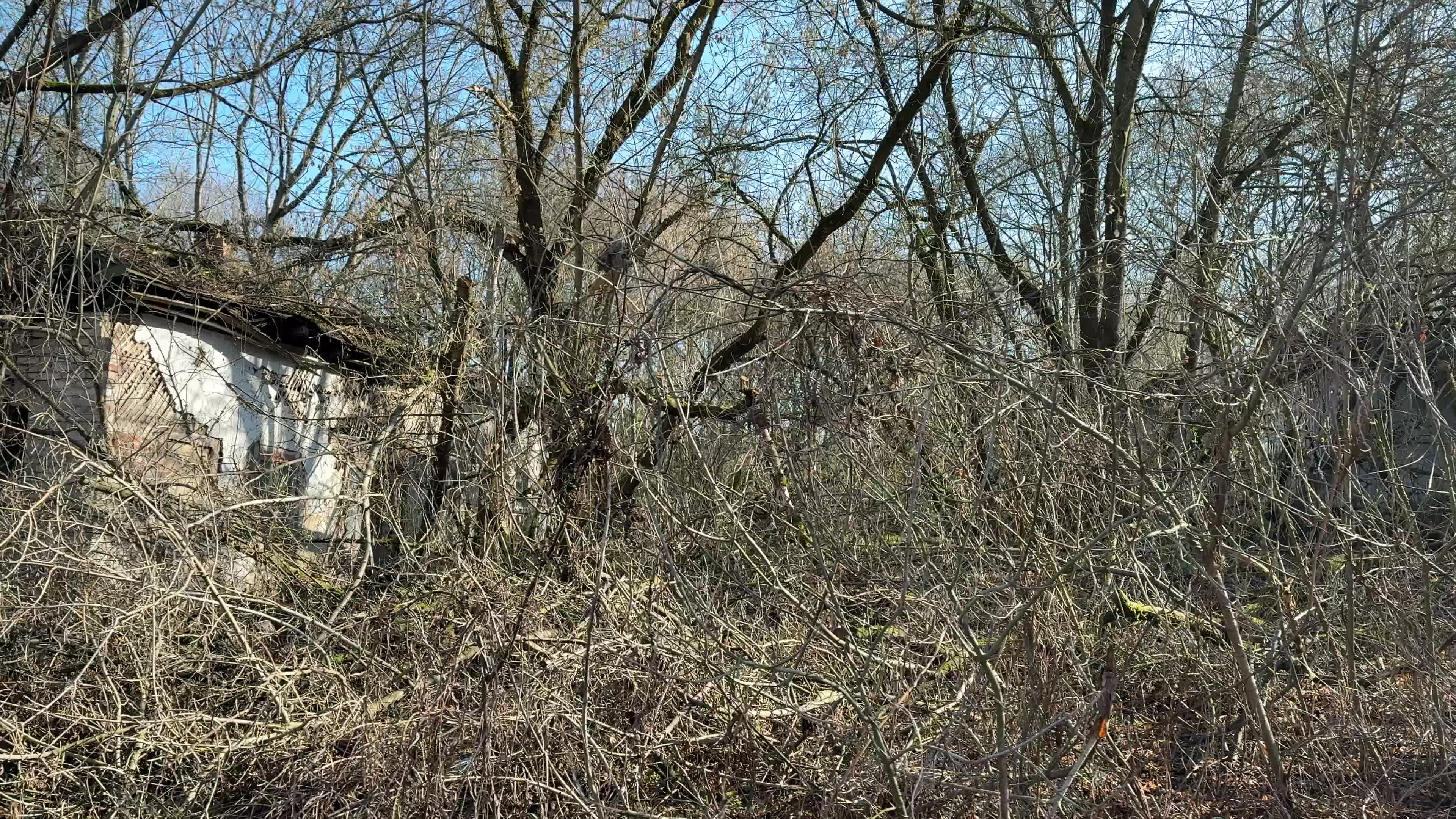 The City Of Chernobyl