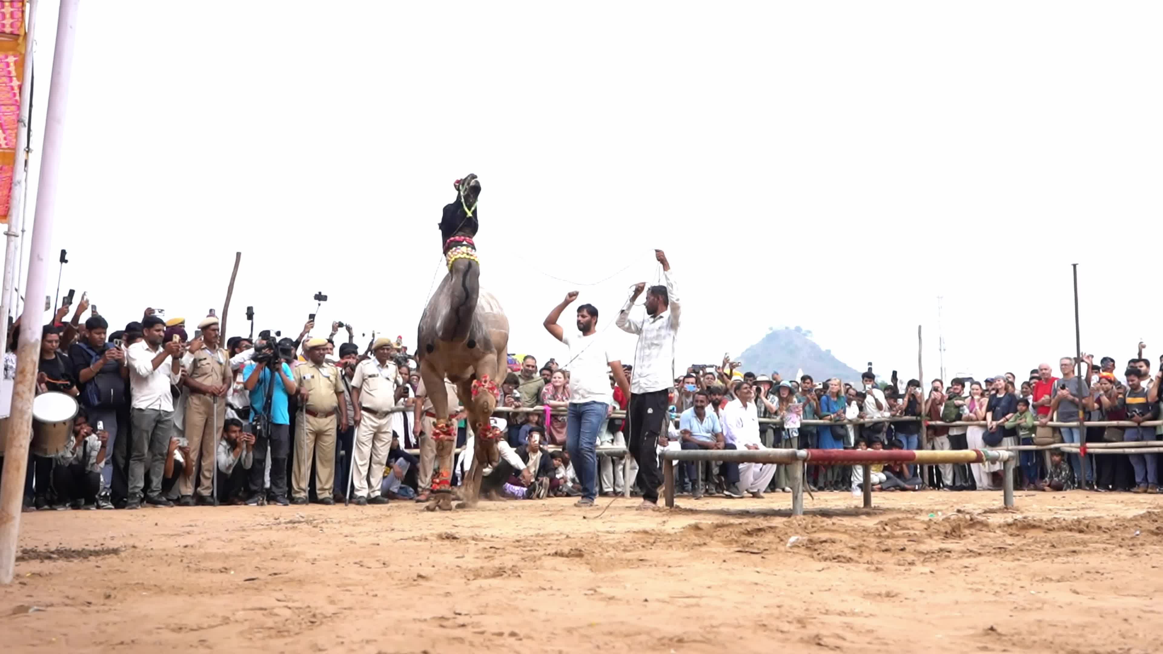 Pushkar Camel Fair in Pushkar