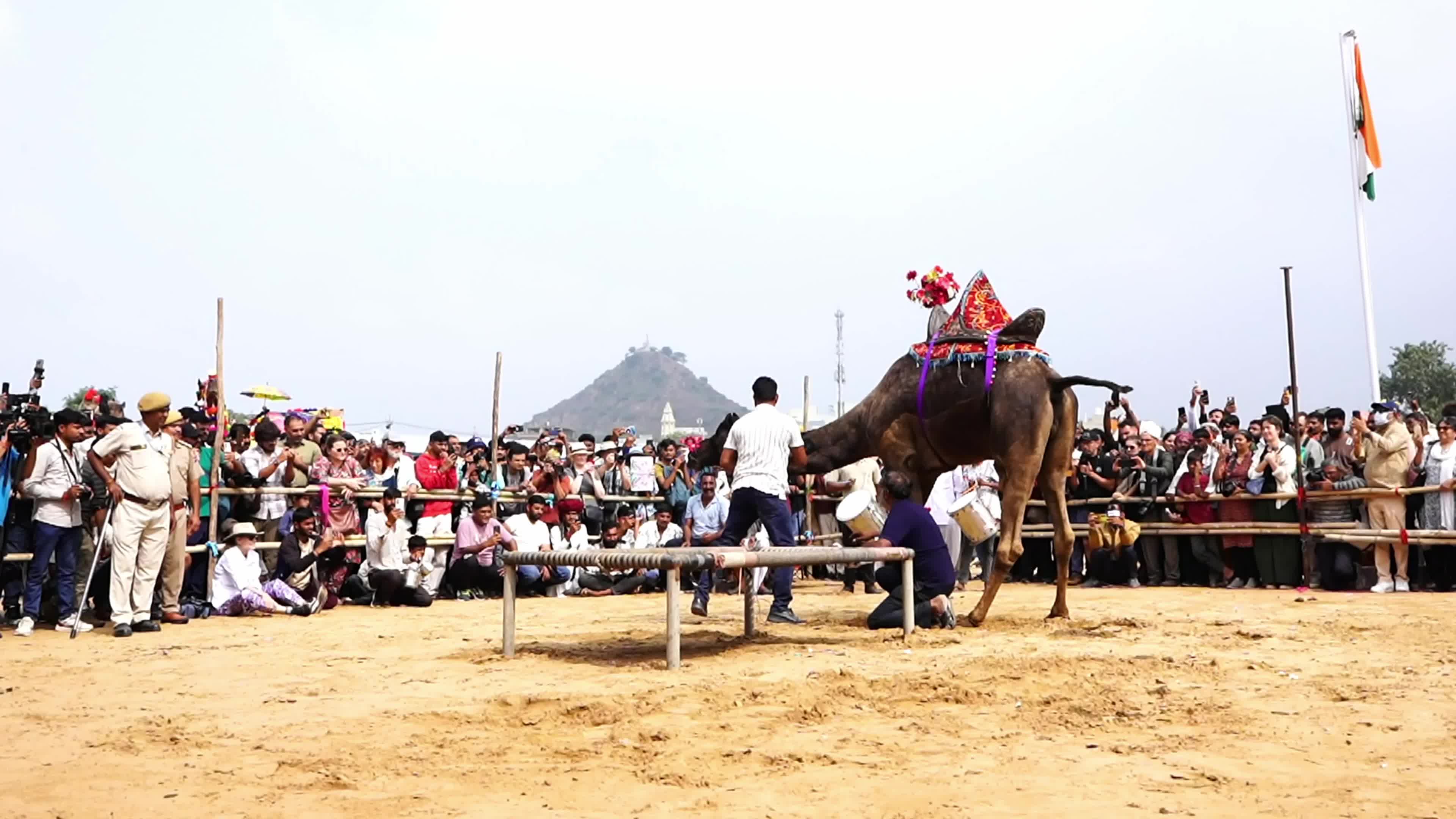Pushkar Camel Fair in Pushkar