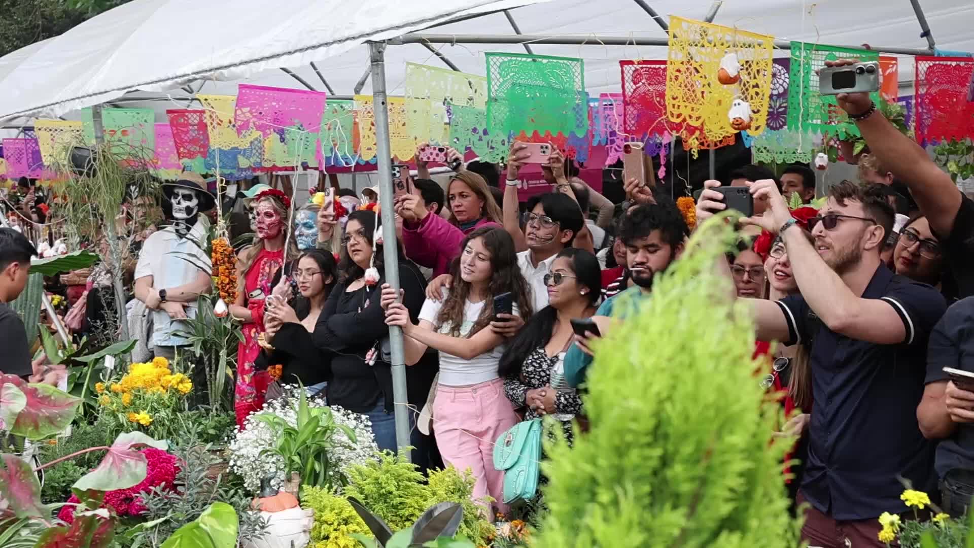Day Of The Dead Parade In Mexico City 
