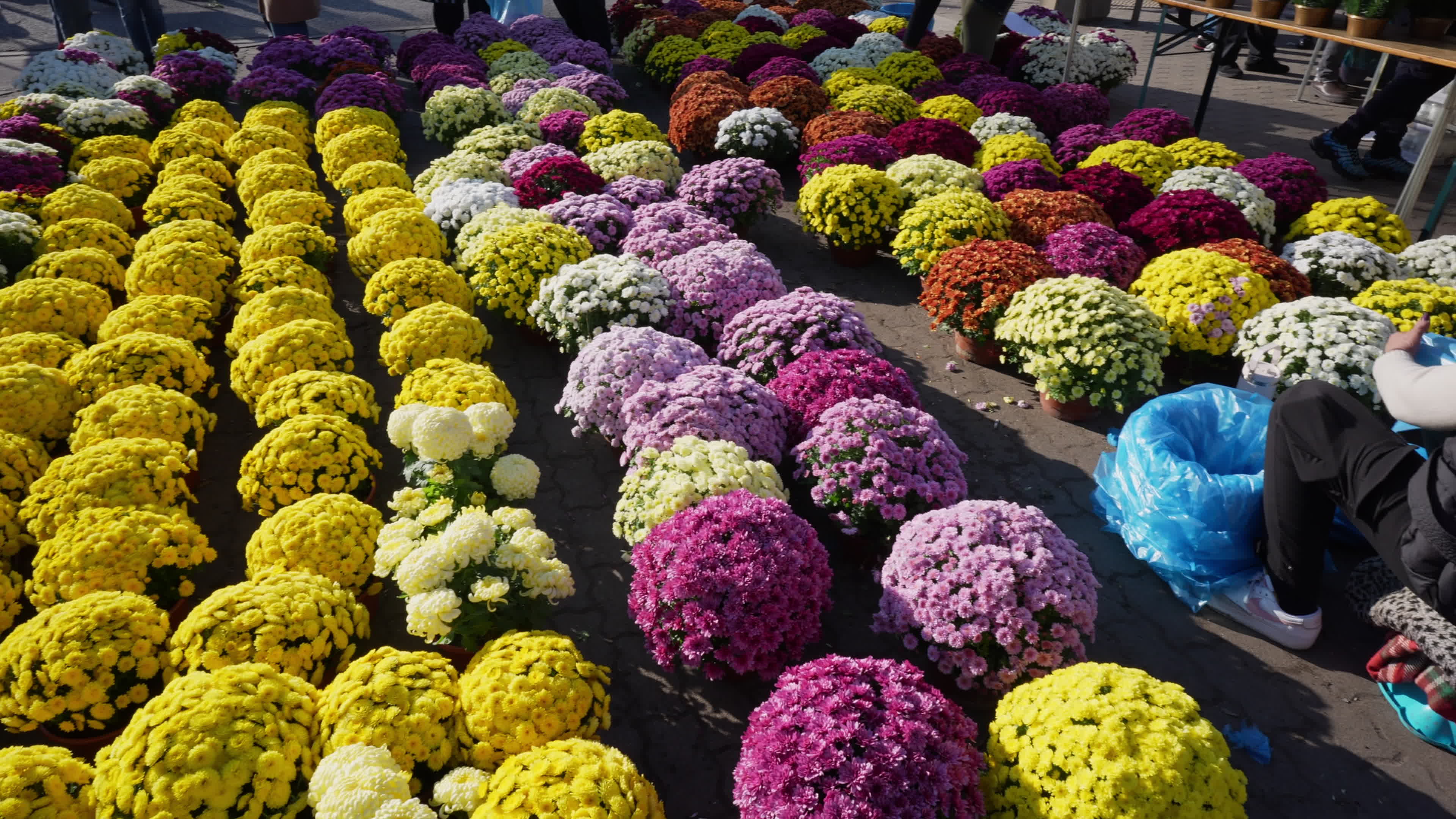 All Saints in Poland
