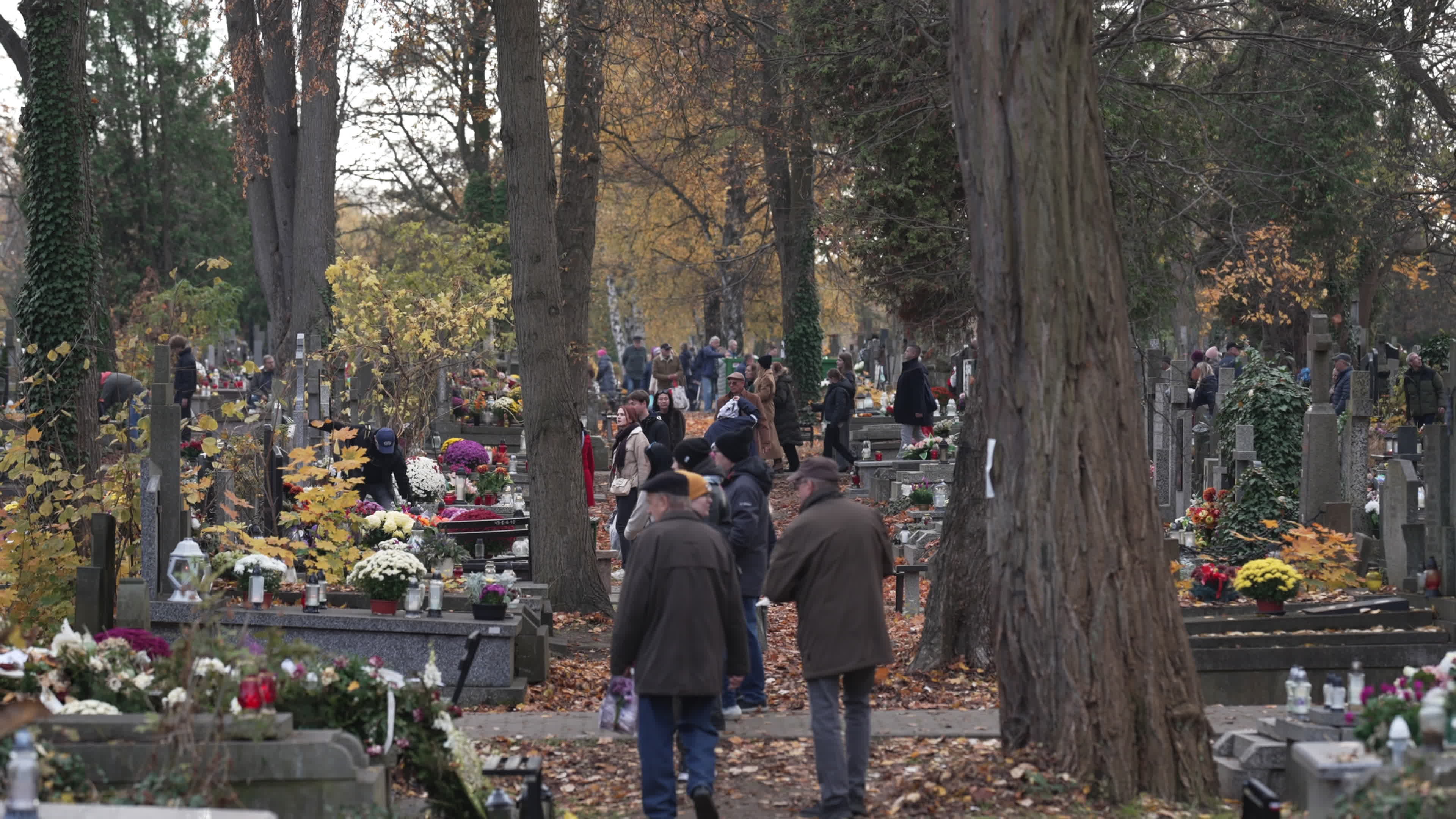 All Saints in Poland