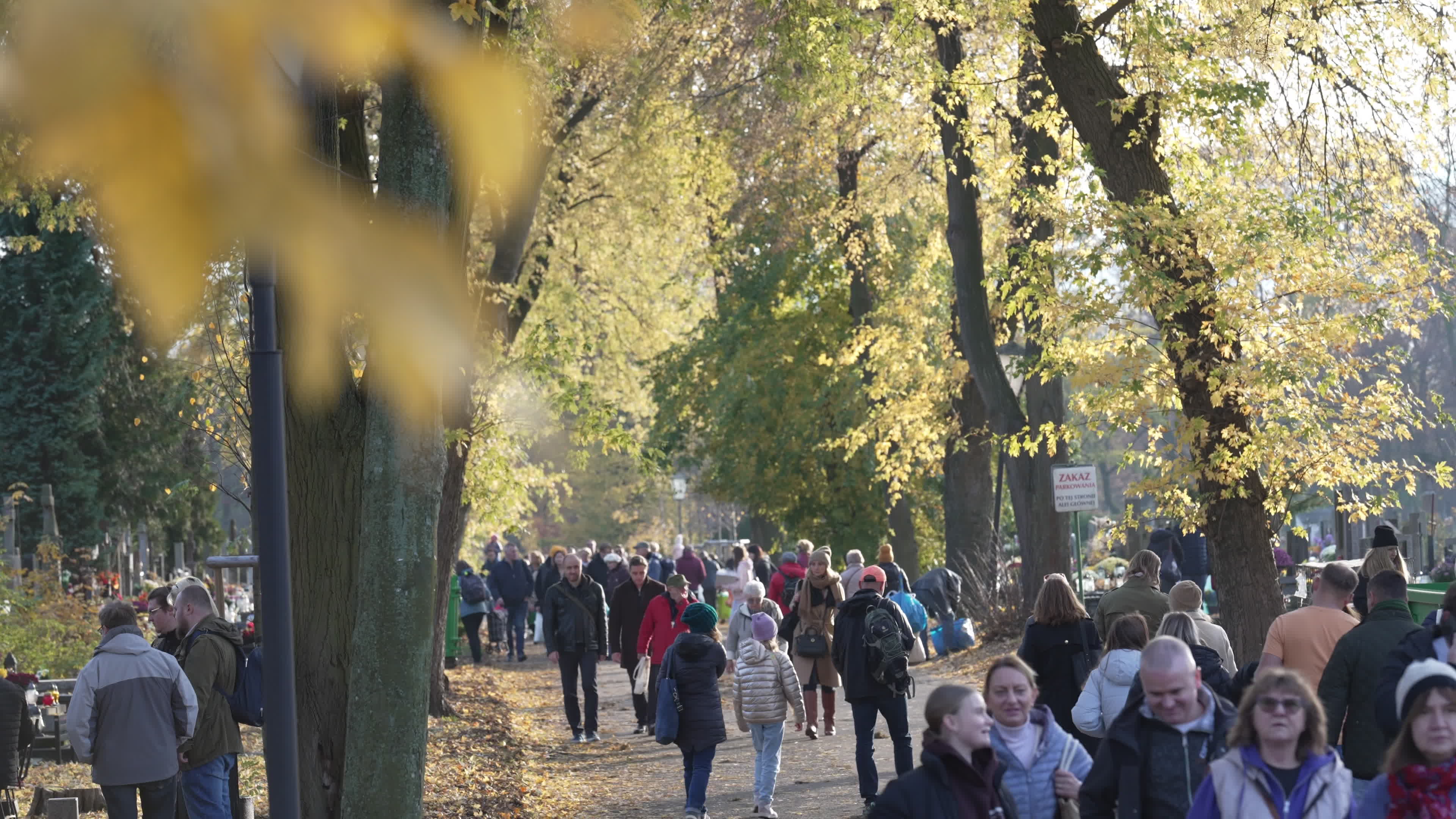 Thousands visit Brodno Cemetery in Warsaw on All Saints