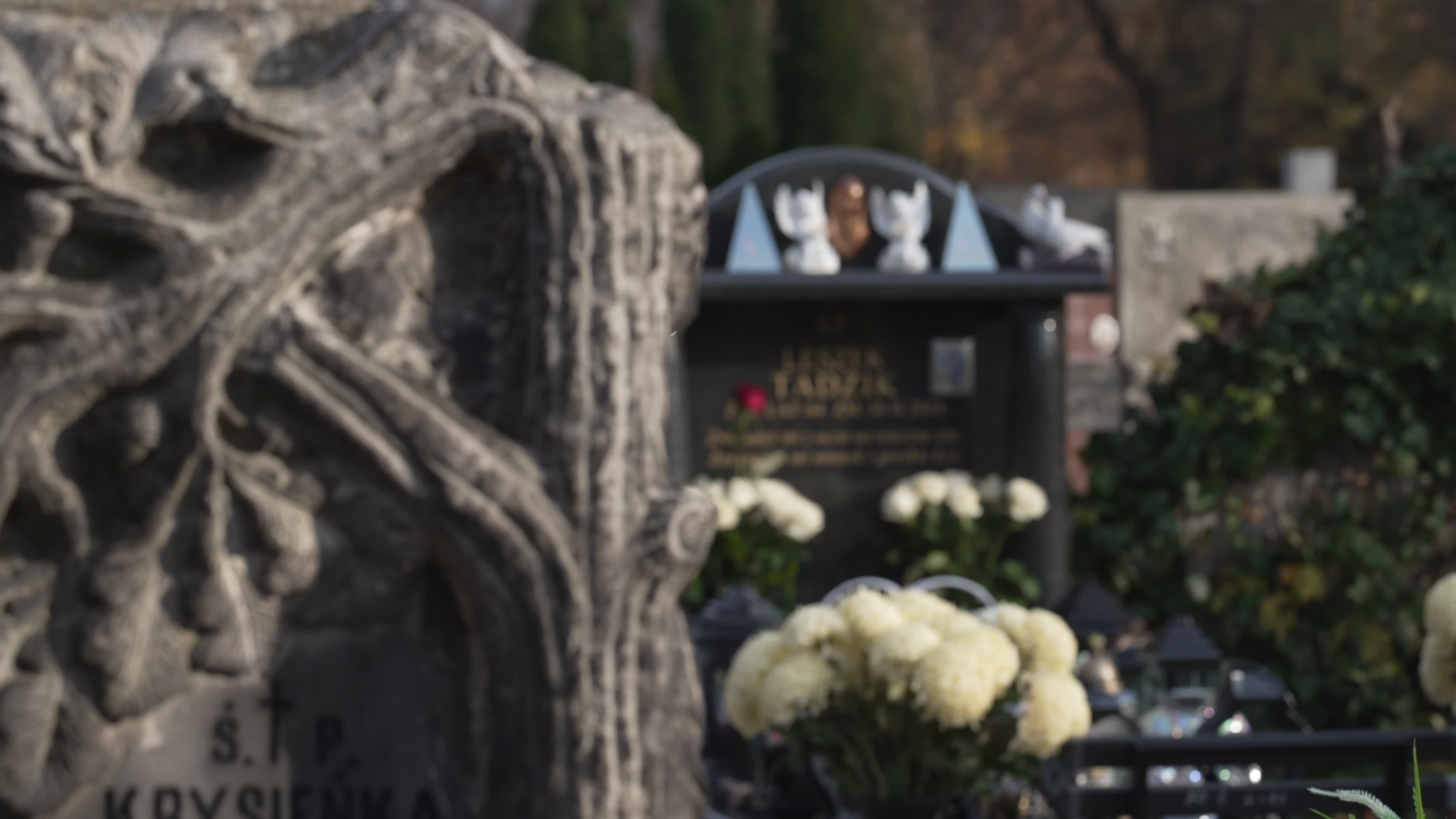 Thousands visit Brodno Cemetery in Warsaw on All Saints
